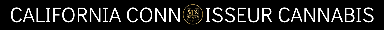 Logo with text 'California Connoisseur Cannabis' and a gold Maven logo in the center.