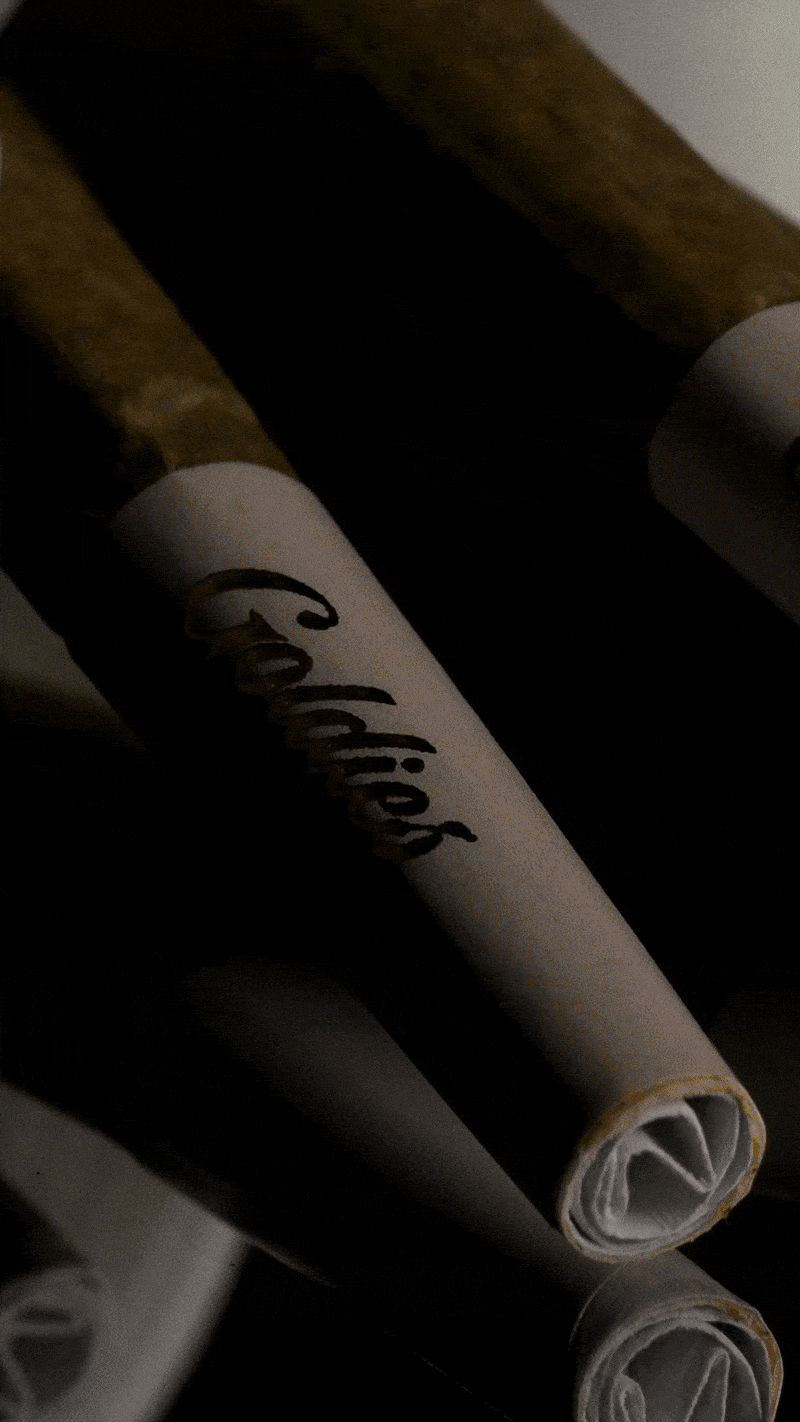 ezgif.com-optimize (2).gif