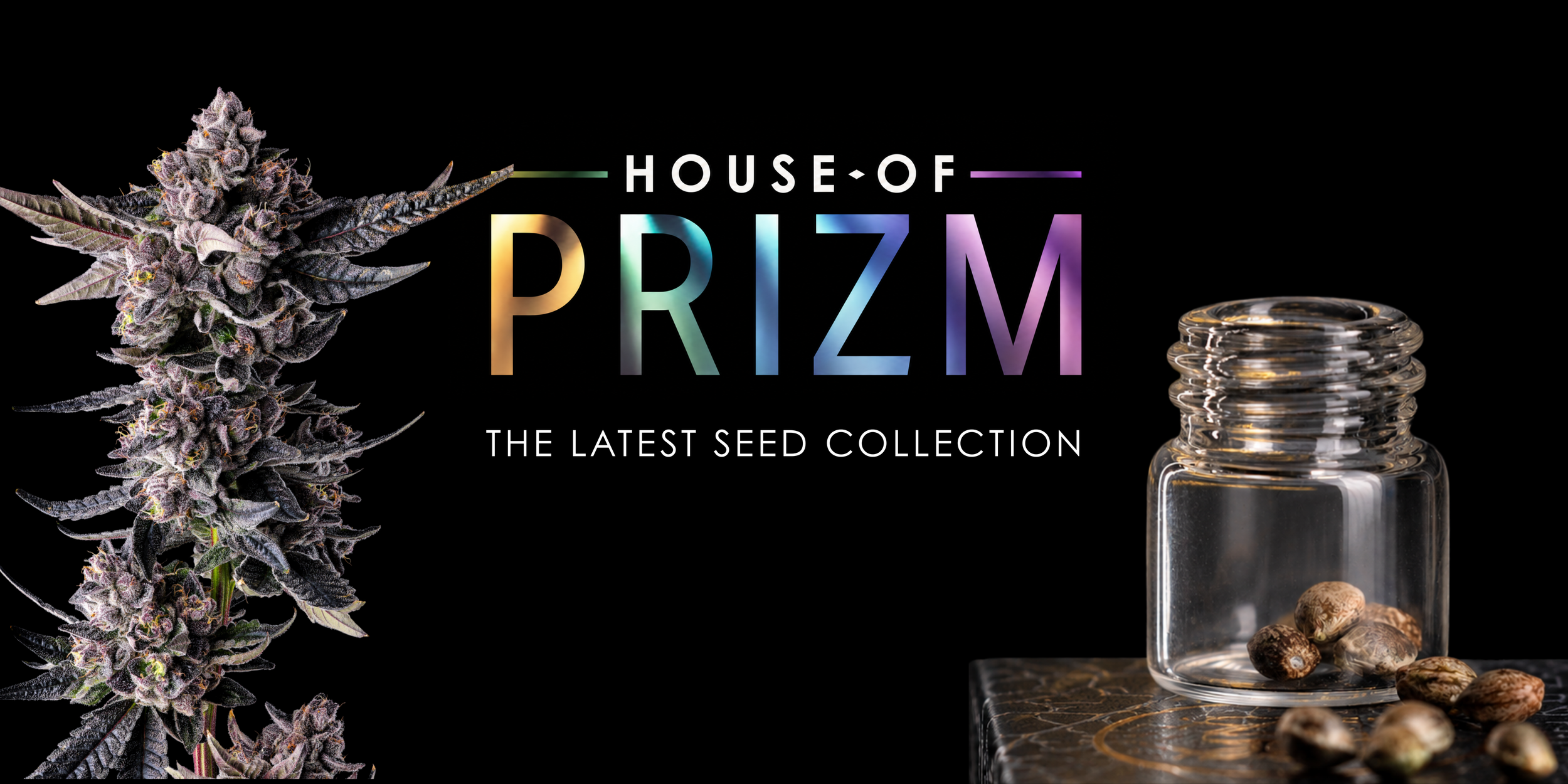 House of Prizm Seeds