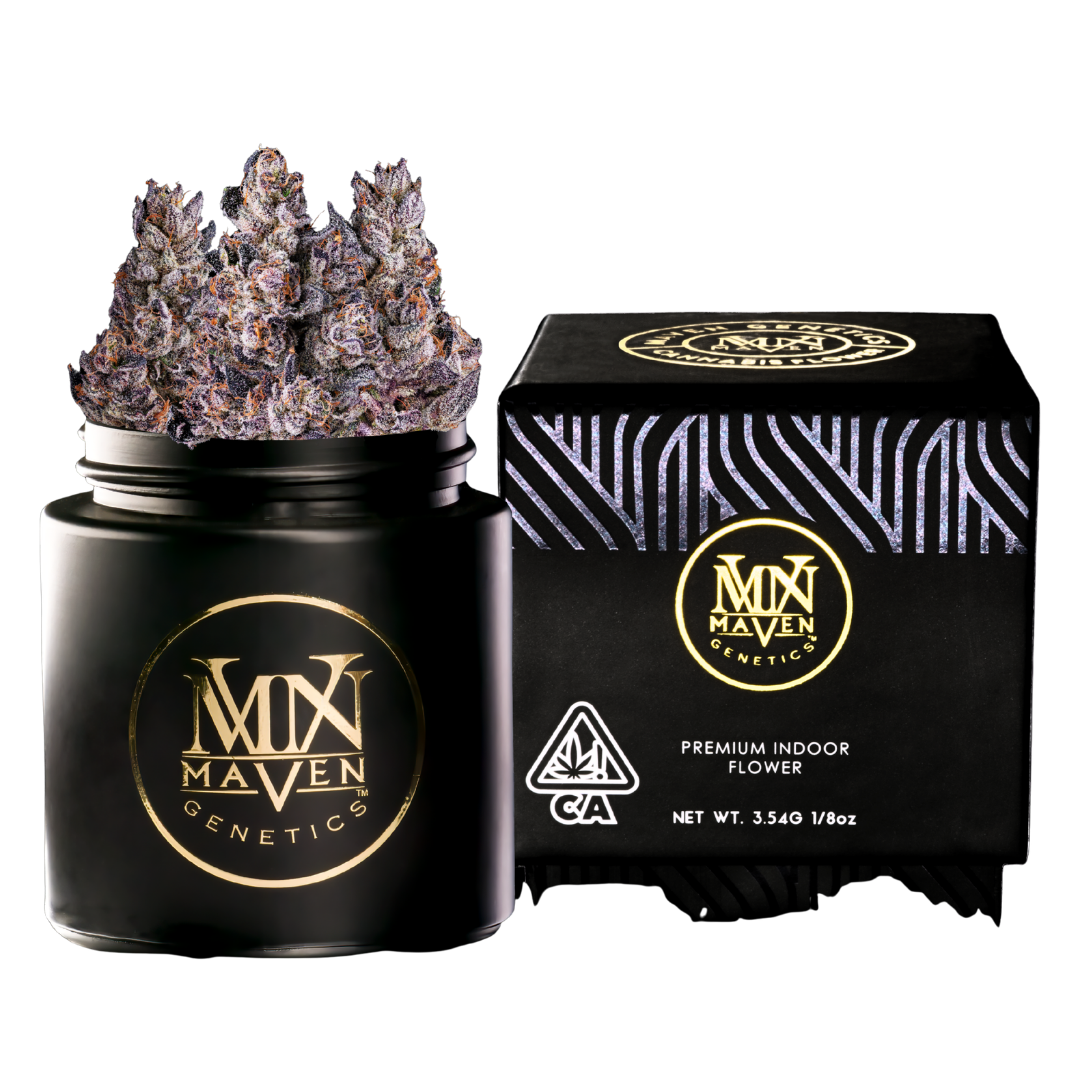 A black open jar of Maven Genetics cannabis flower next to a black box with golden lettering.