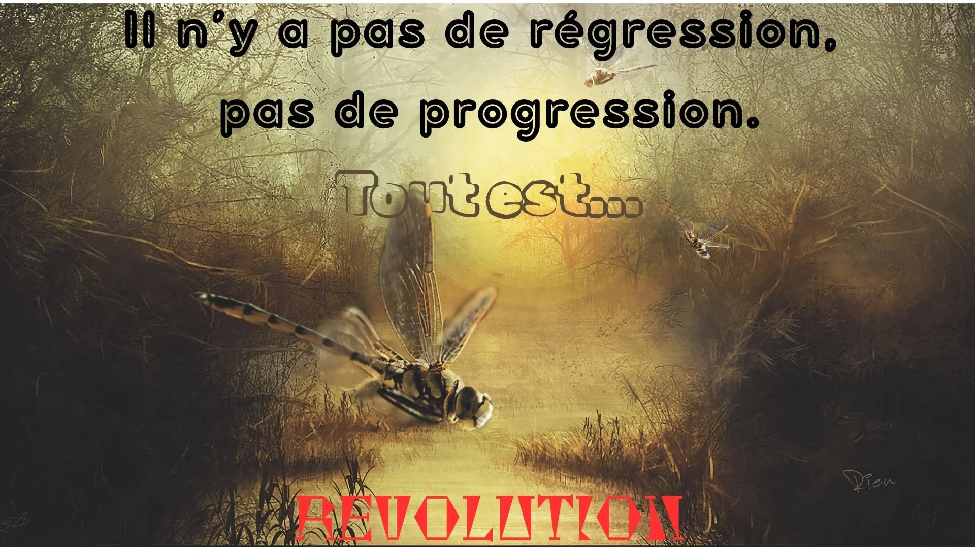 Il n’y a pas de régression, pas de progression Tout est REVOLUTION.jpg