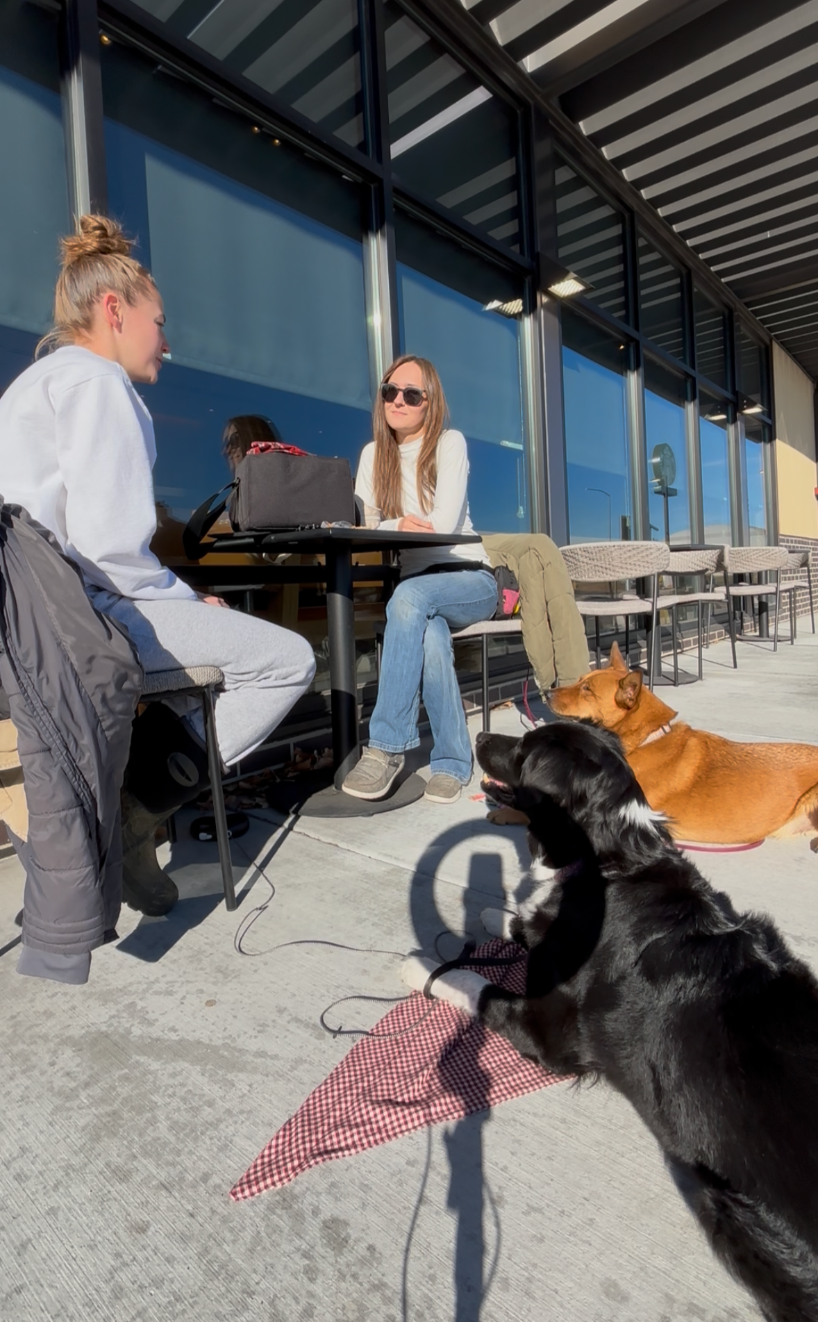 Two women and three dogs sitting outside a modern building, one woman with sunglasses talking to the other, with the dogs resting nearby on a sidewalk.