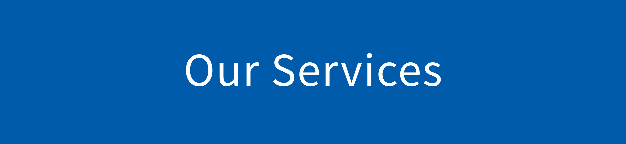 Blue background with white text that says 'Our Services'.