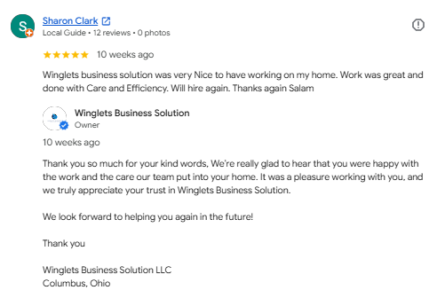 Screenshot of a Google review for Winglets Business Solution, praising their work and expressing satisfaction.