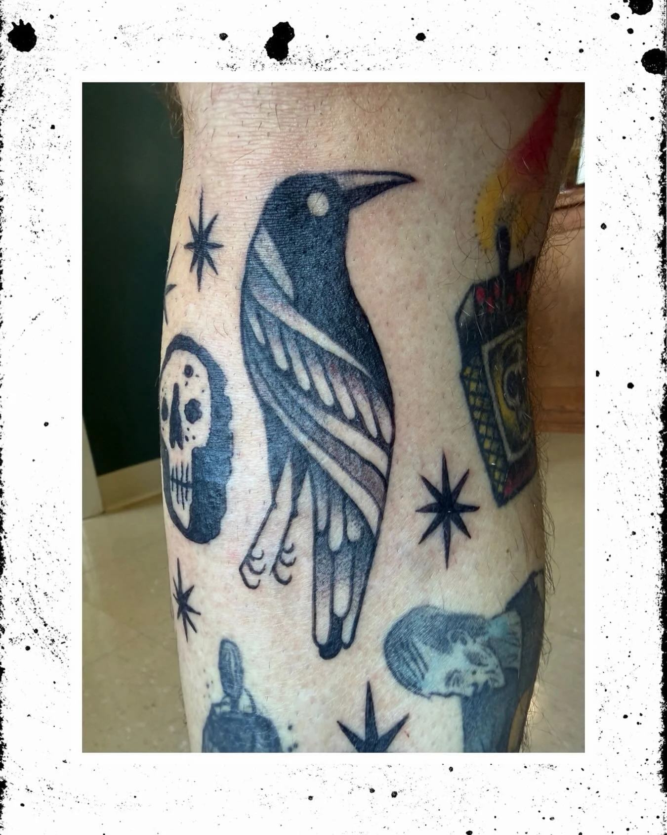 Magpie and a couple few stars.