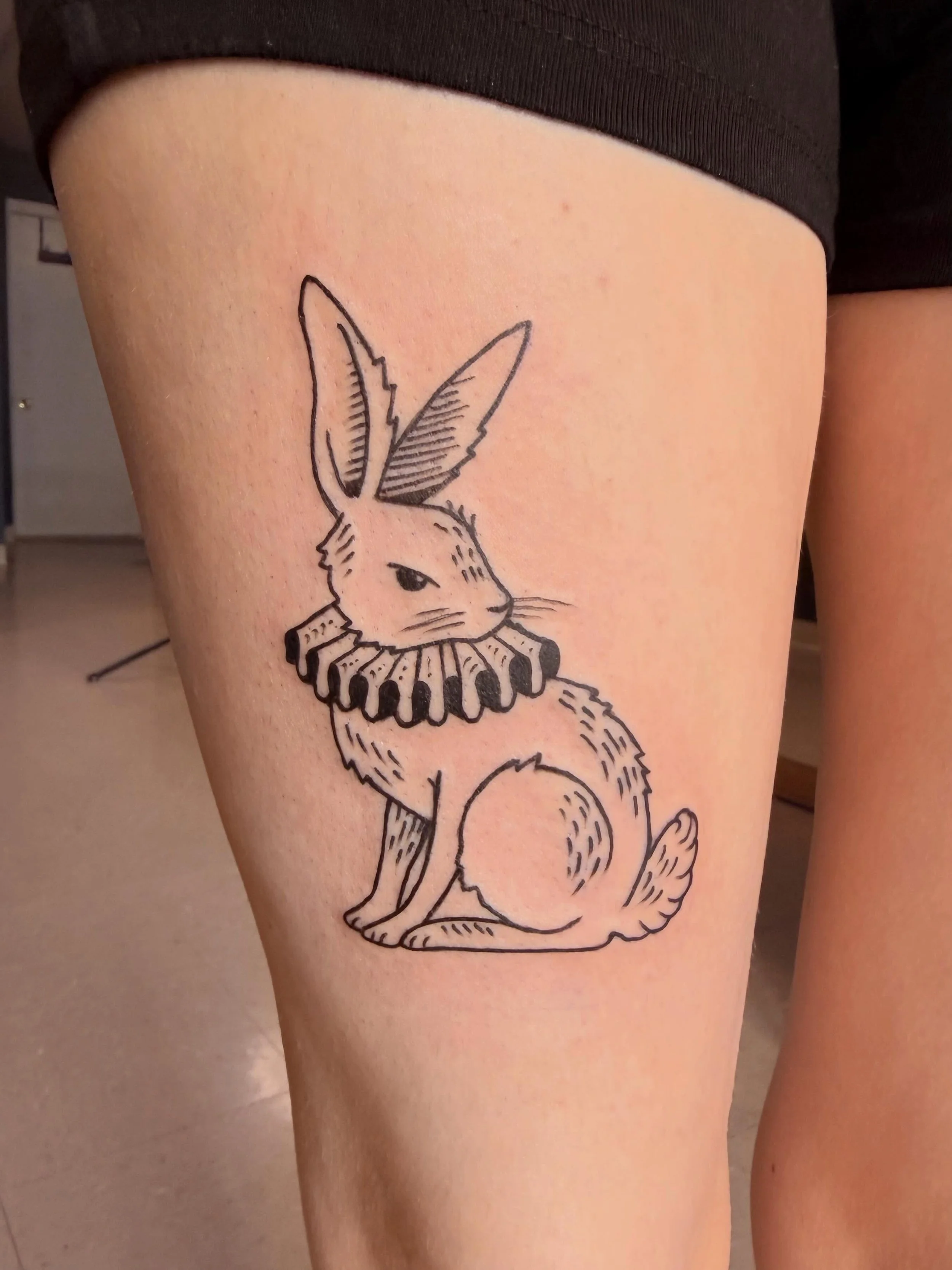 New rabbit homie for Janessa. Thank you again!