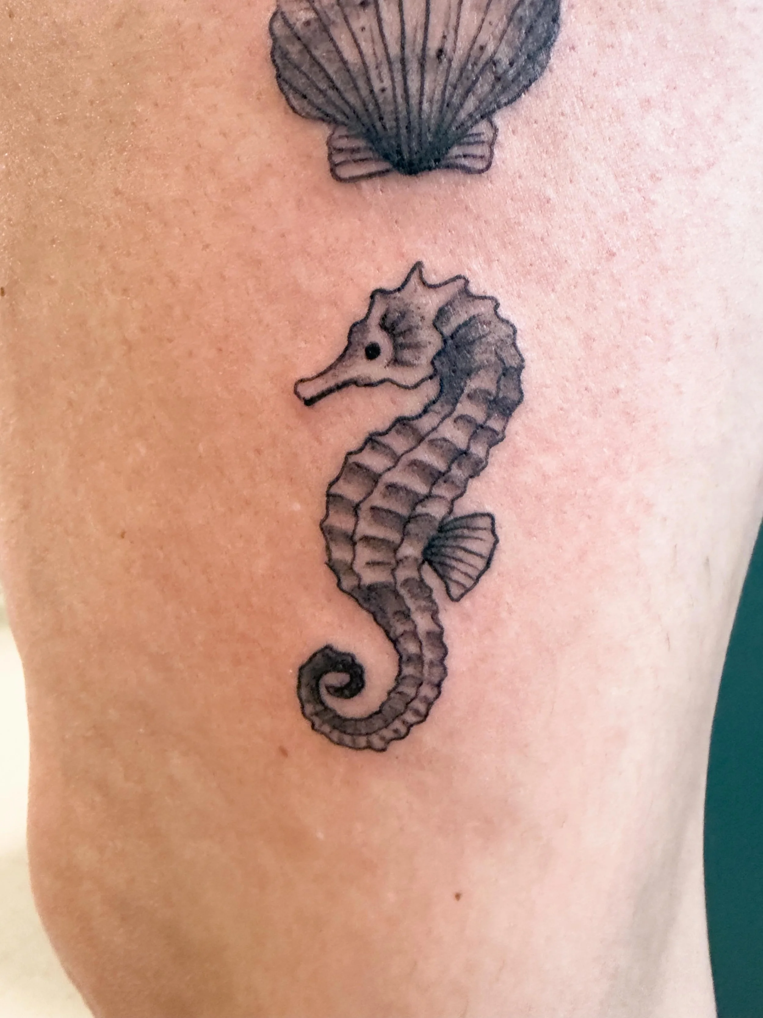Some ocean bits for Marissa. Thank you!