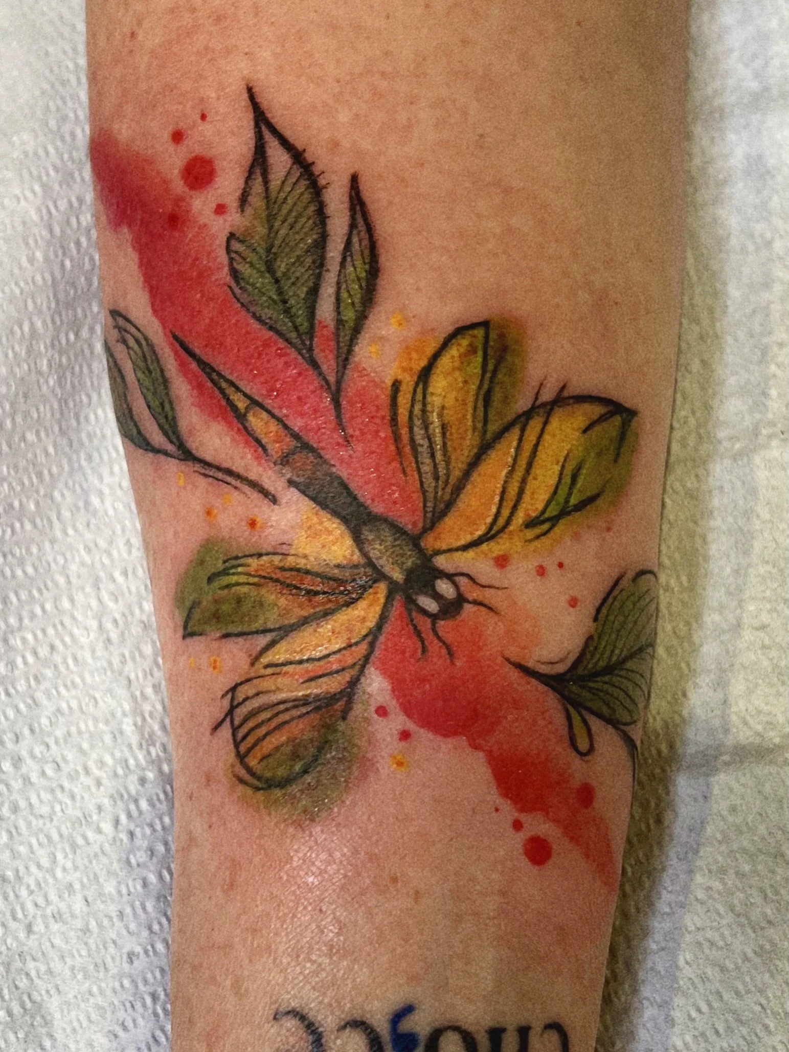 IMG_3634%20Edited Edited.jpeg