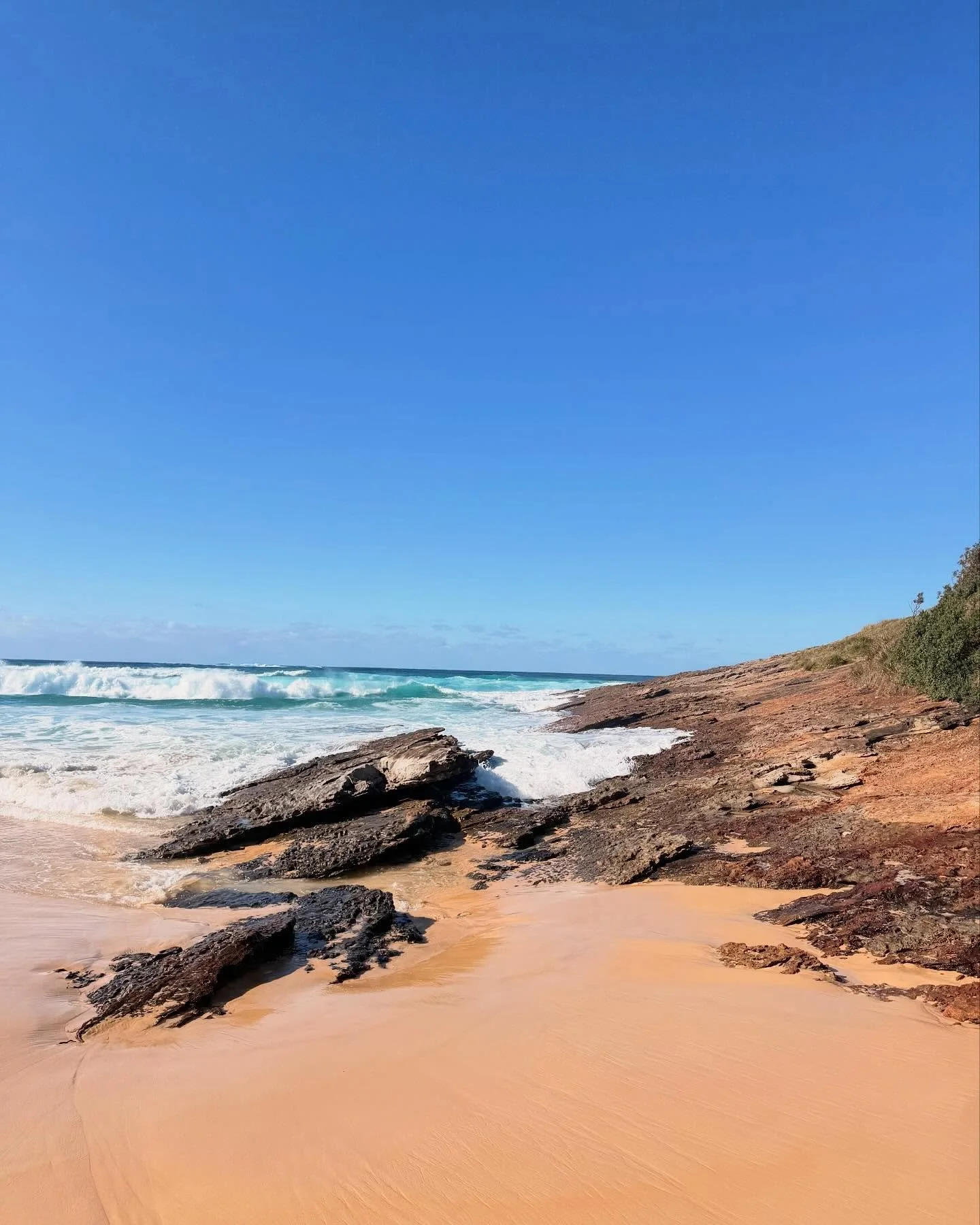 When this is your backyard everyday is a holiday 💕