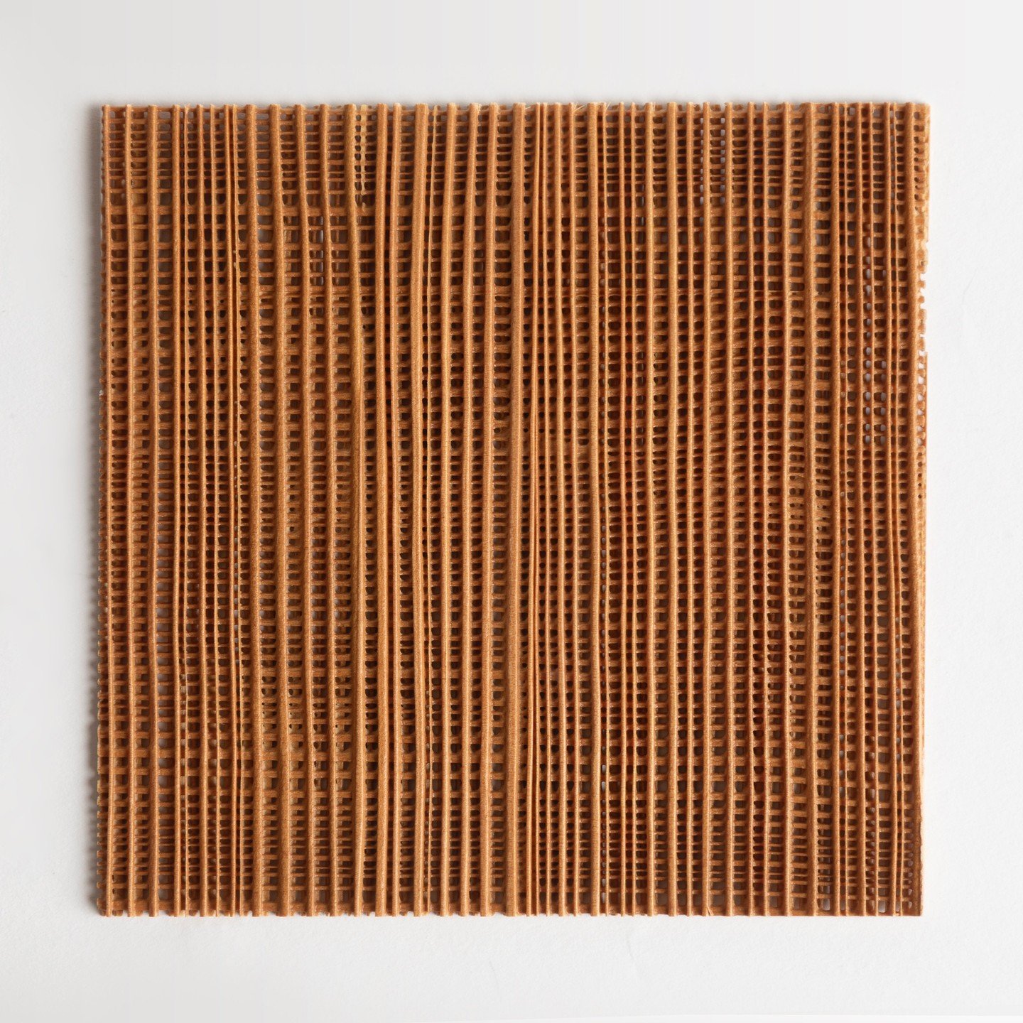 Le Skelet M&eacute;l&egrave;ze est une mati&egrave;re surprenante. Cette grille ajour&eacute;e de fibres dures du m&eacute;l&egrave;ze est utilis&eacute;e par nos clients comme claustra, habillage de portes de dressing, faux plafond, paravent. R&eacu