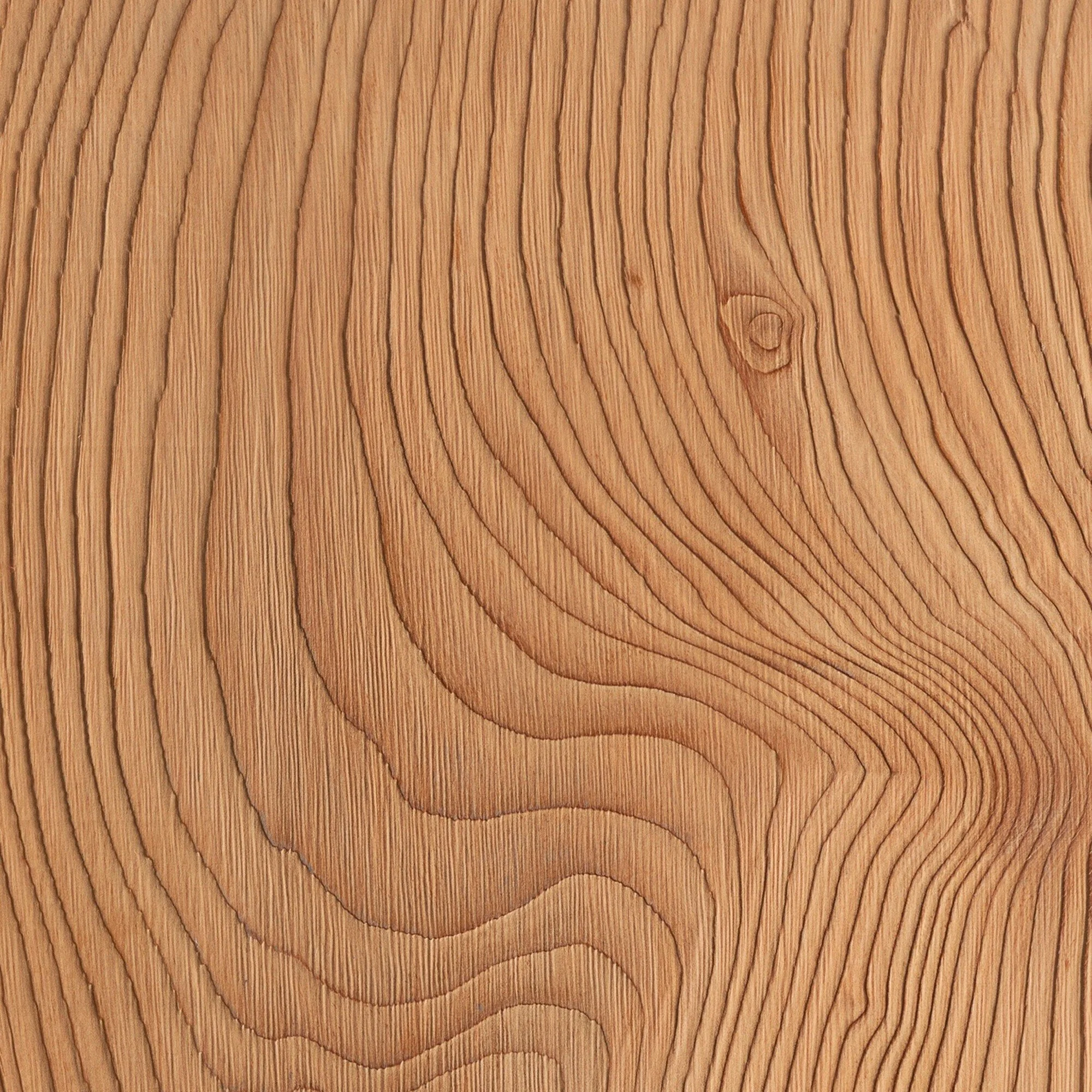 Cedar is a conifer whose growth is often characterized by a very distinct alternation between springwood—which is lighter, softer, and more porous—and summerwood, which is darker, denser, and