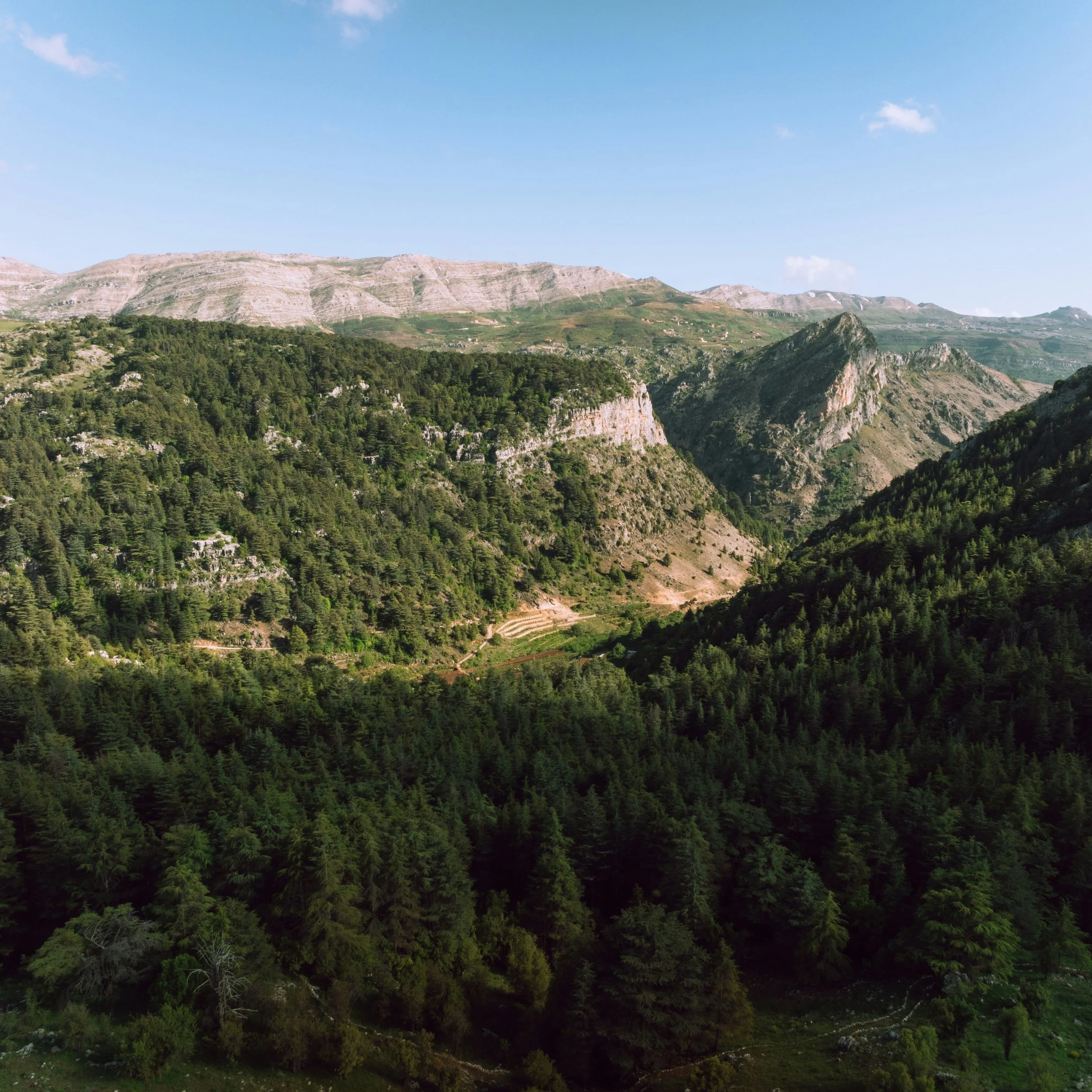 &Agrave; Bcharr&eacute;, dans le nord du Liban, les grands c&egrave;dres du Liban s&rsquo;&eacute;l&egrave;vent sur les pentes de la montagne.
⠀
Symbole de long&eacute;vit&eacute; et de r&eacute;sistance depuis l&rsquo;Antiquit&eacute;, le c&egrave;d