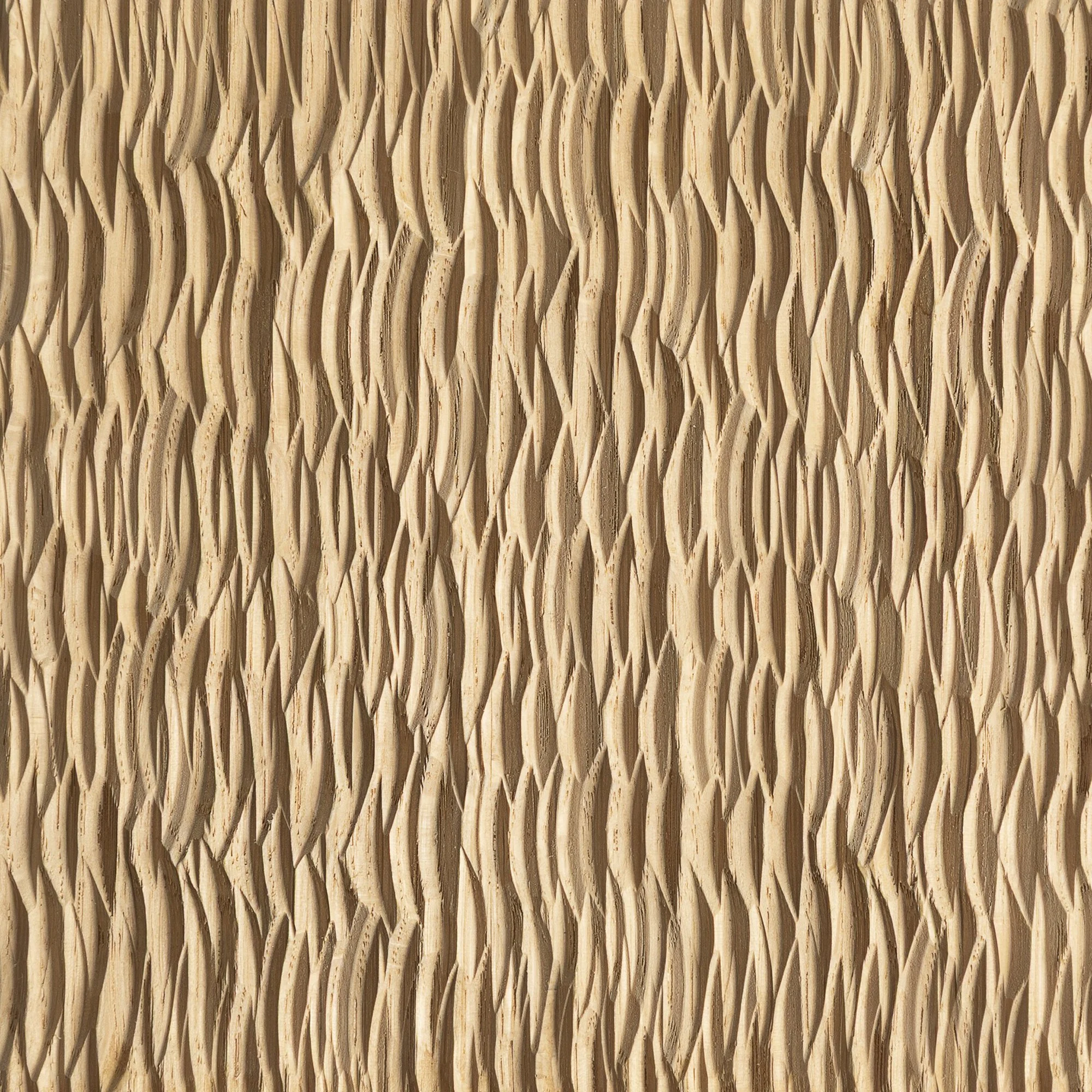 Lamellux — Tien.jpg