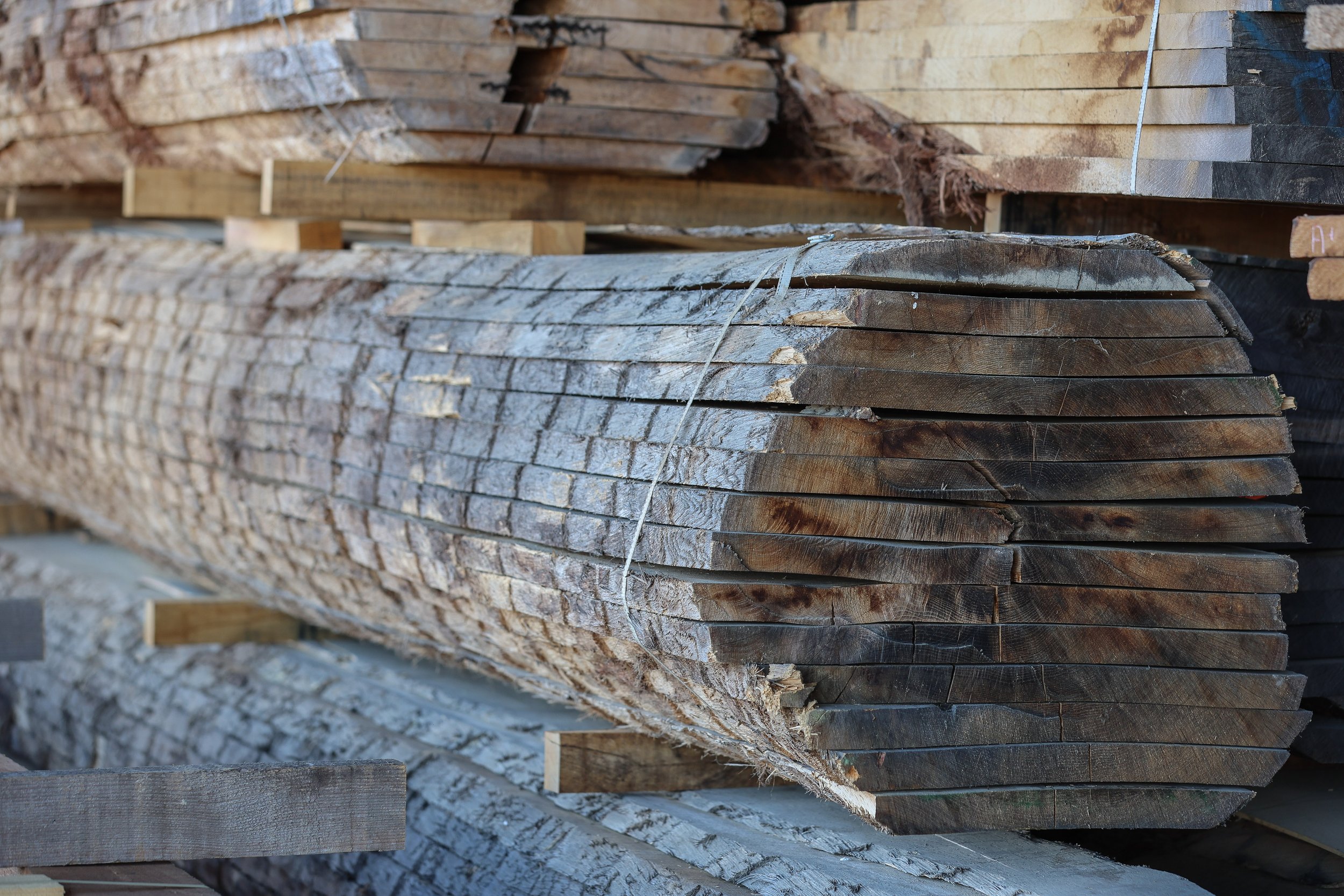 Vue de billes de bois en chêne massif en séchage naturel