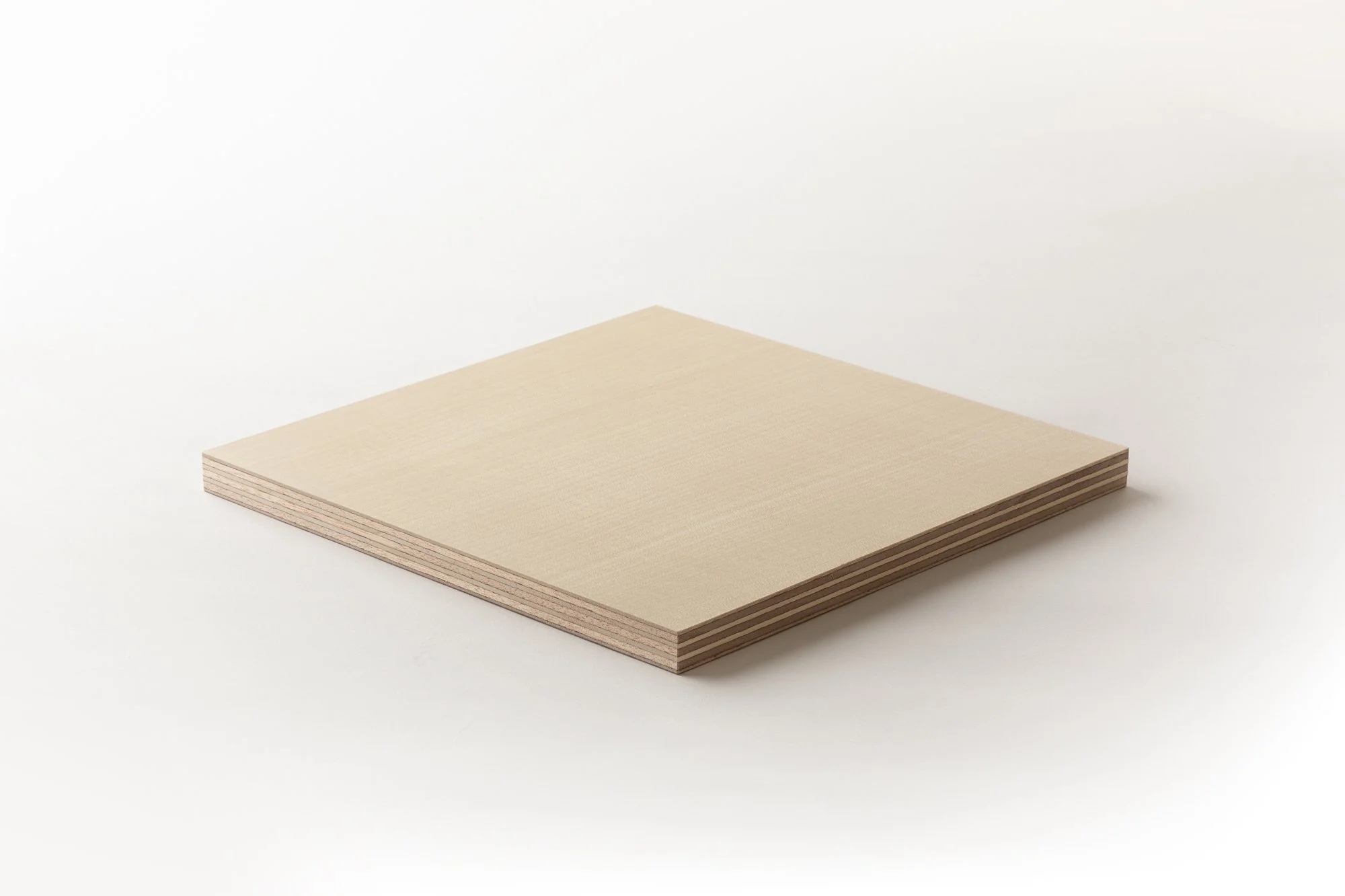 Lamellux — Sycomore 2.jpg