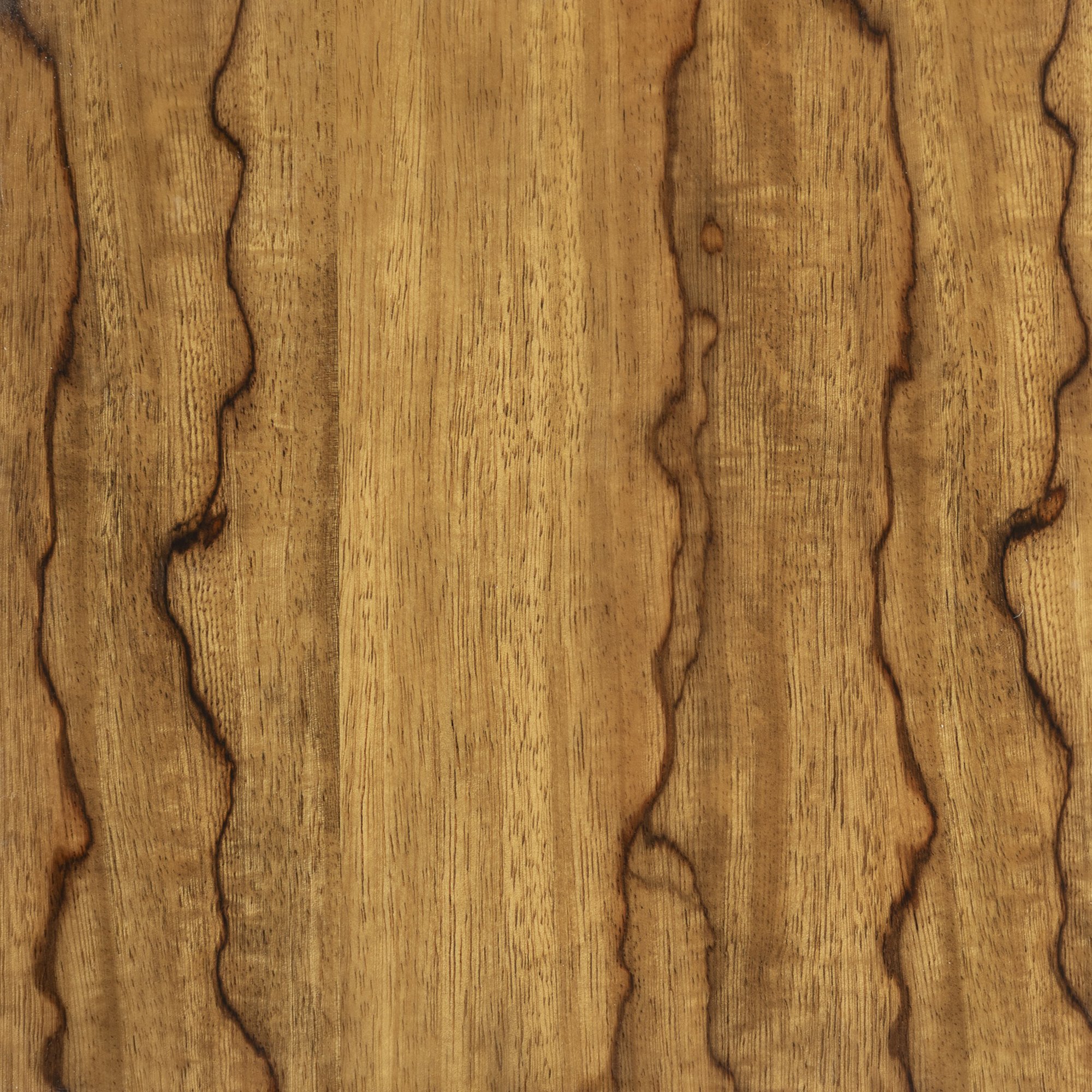 Lamellux — Fraké.jpg