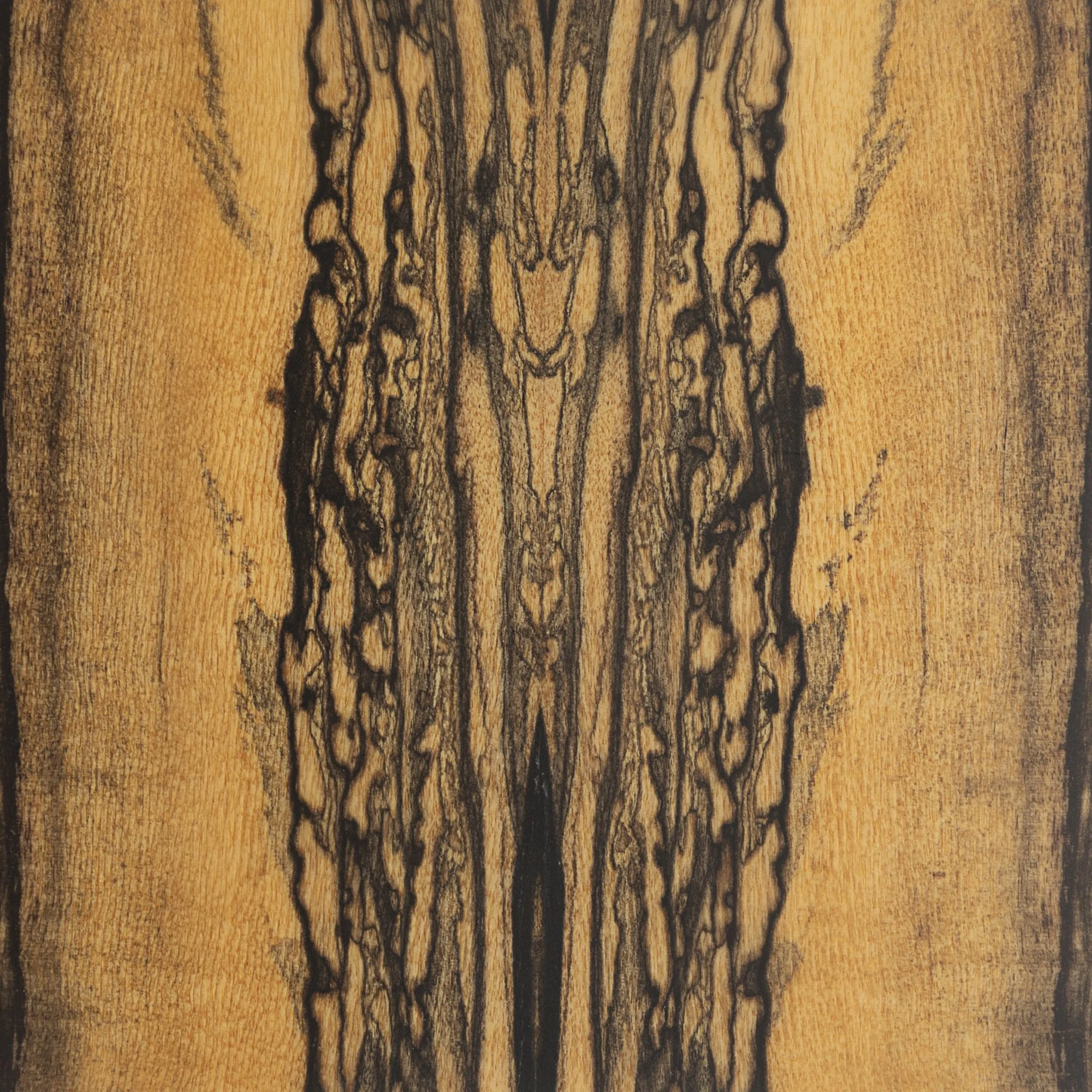 Lamellux — Ebene blanc.jpg