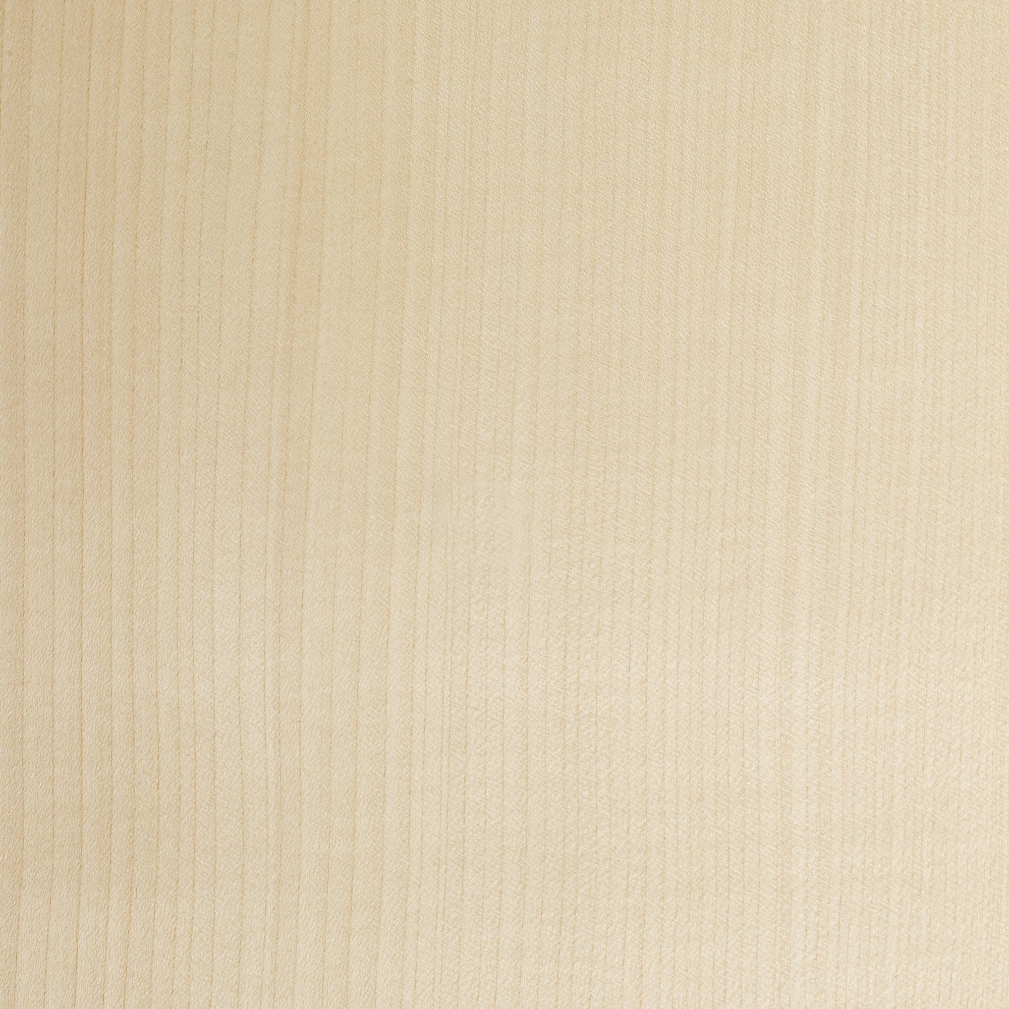 Lamellux — Sycomore.jpg