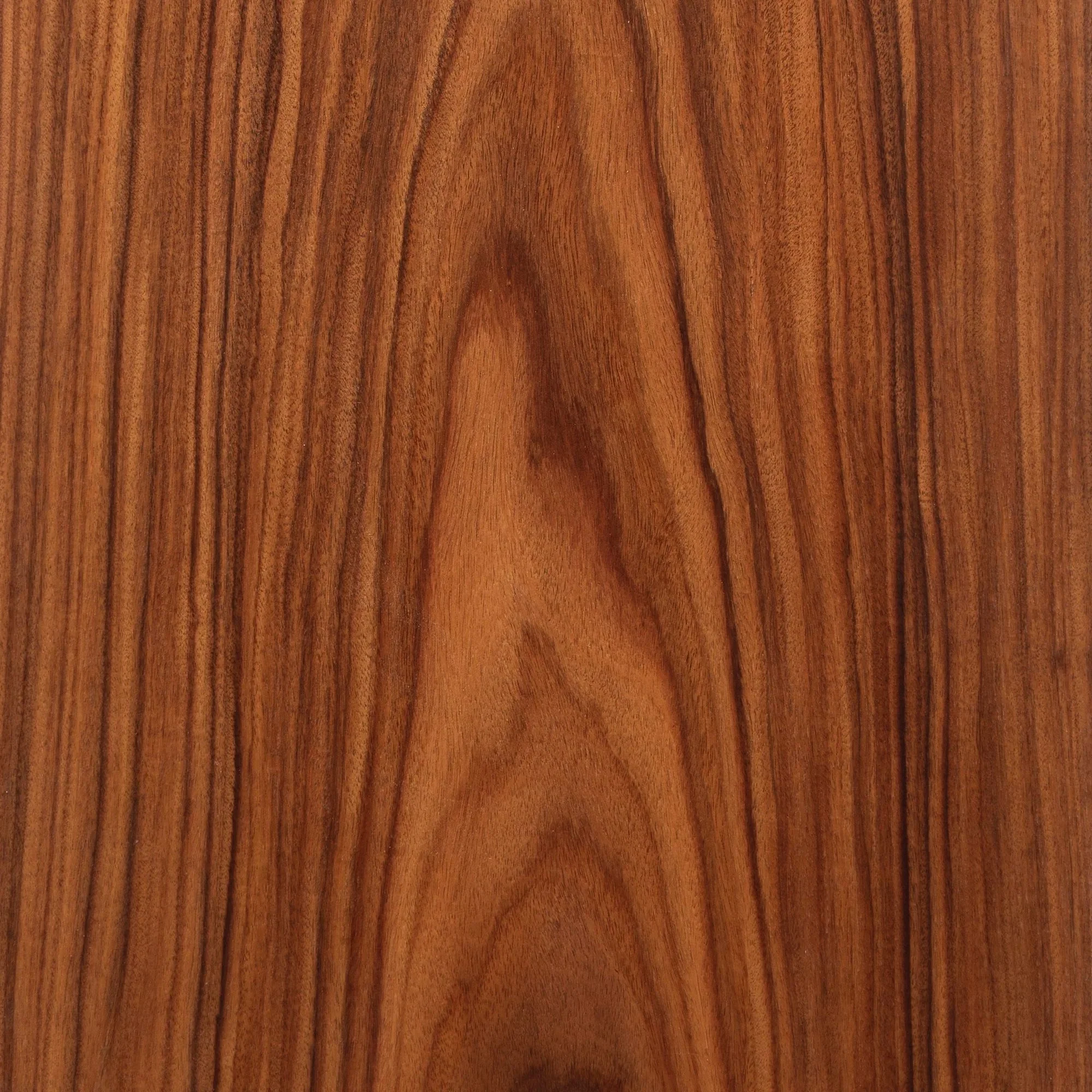 Palissandre dos Santos