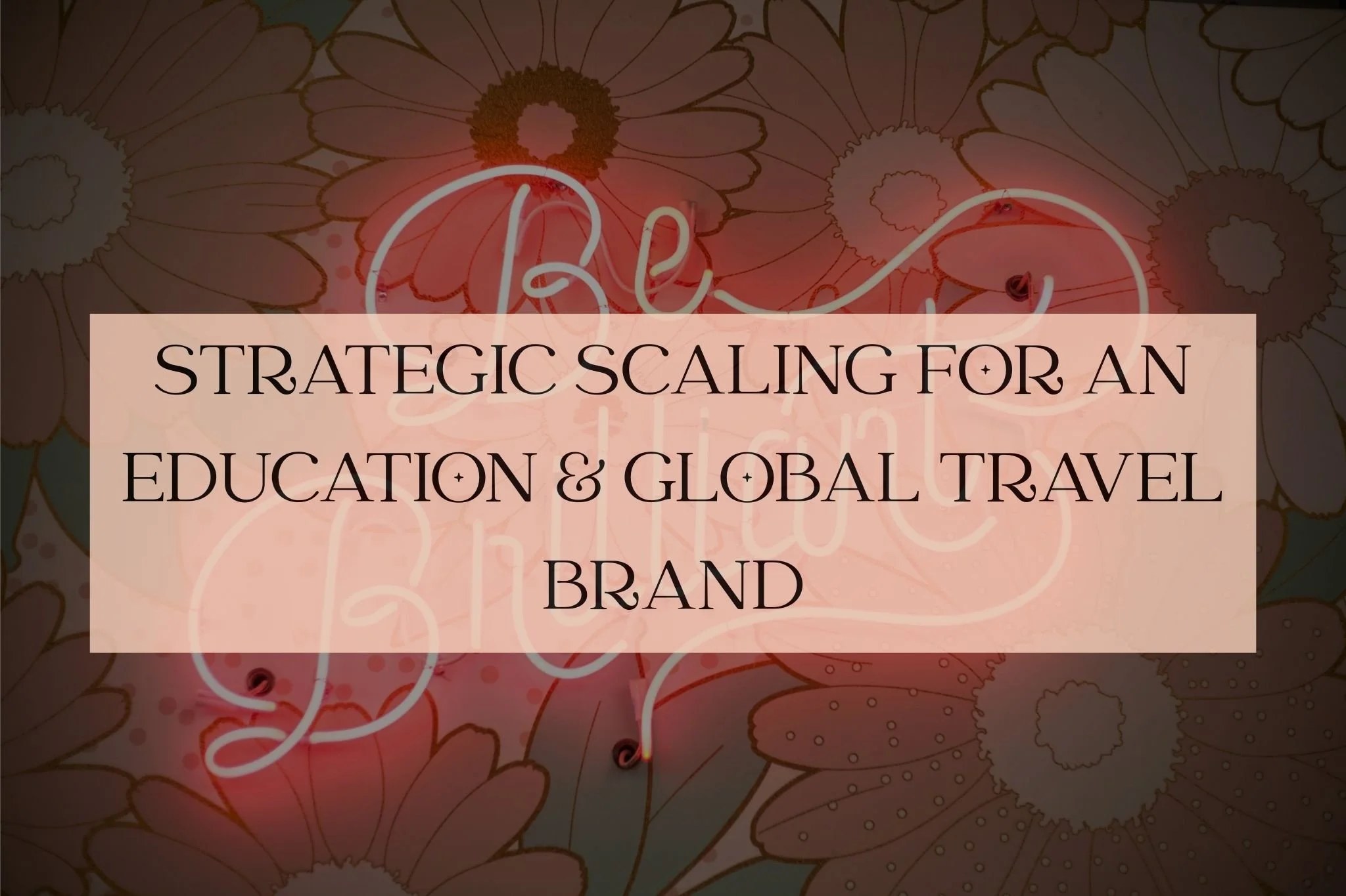 Strategic scaling for education and travel brands: A case study on how North Star Consulting drove 75% revenue growth using profit mapping and operations.