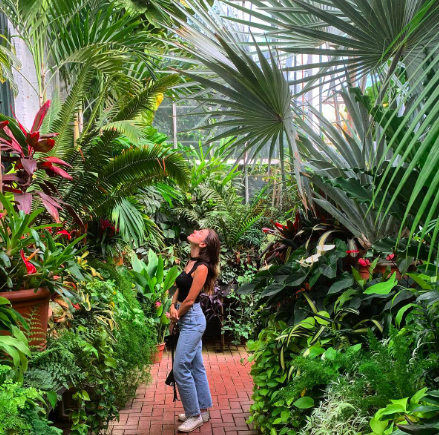 Woman standing in a lush indoor tropical plant conservatory, surrounded by various green and red foliage plants. Dr. Ilana Gilovich