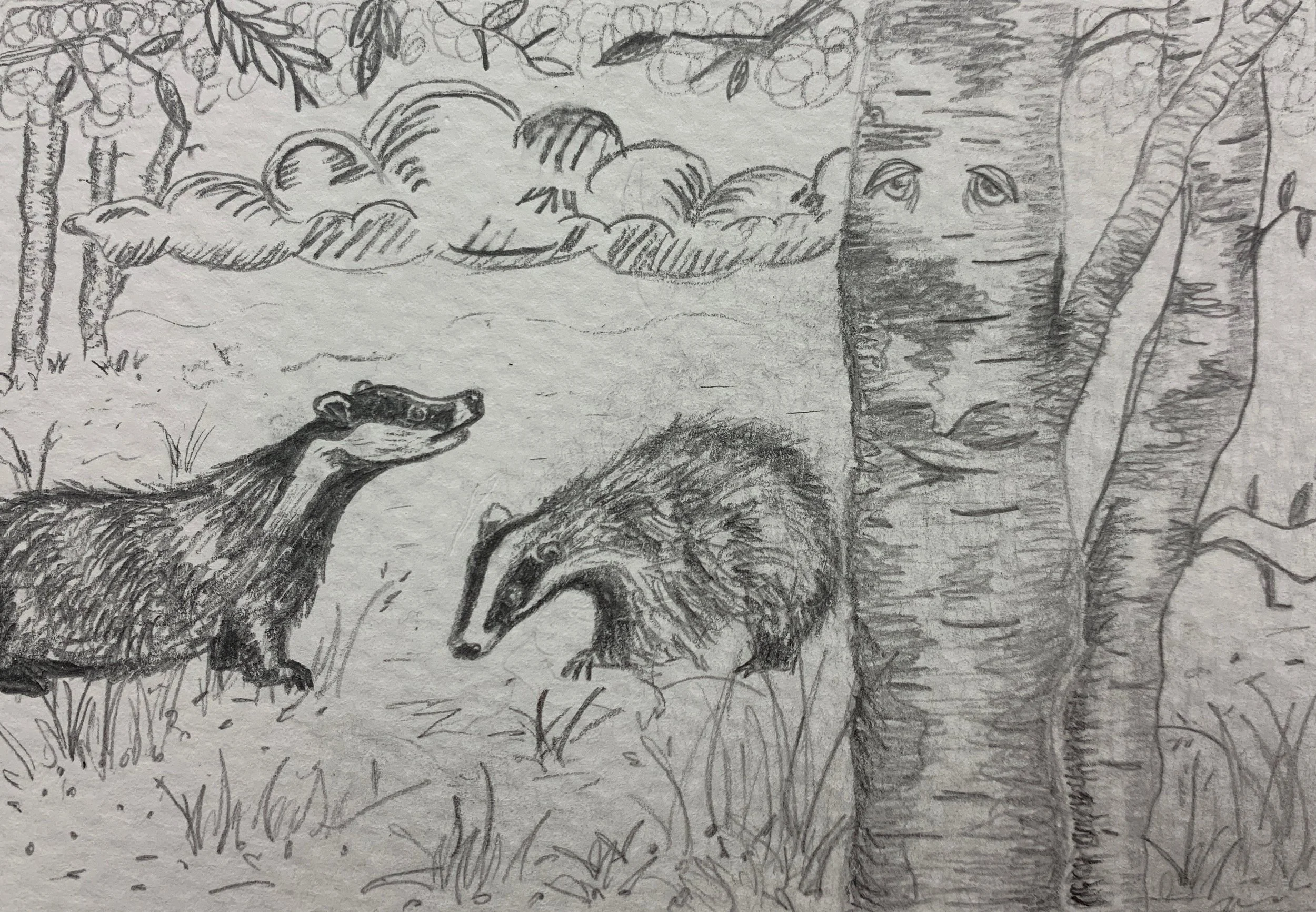 Harold
Graphite