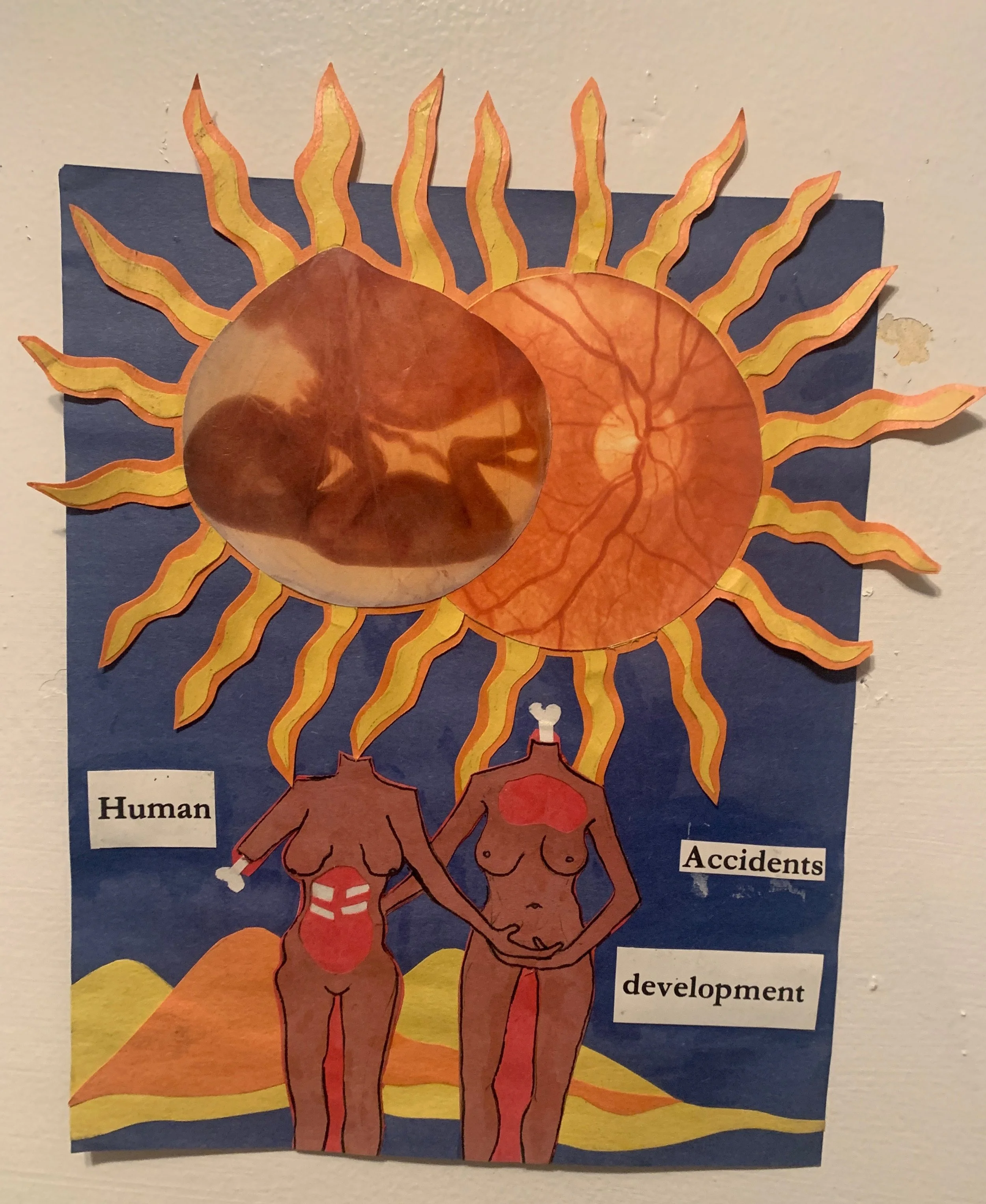 Human Accidents Development