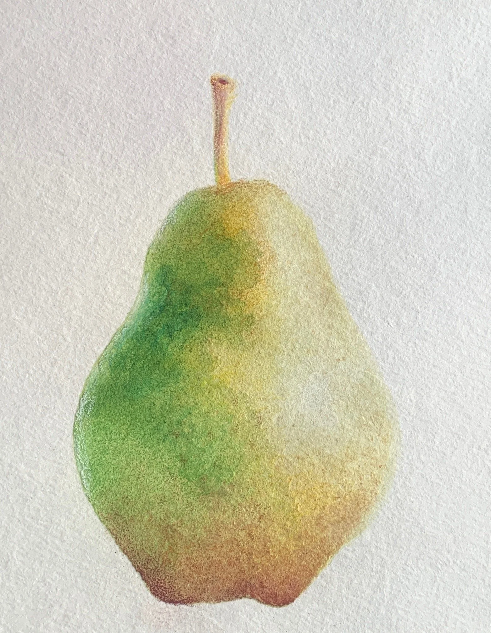 Alvaro
Watercolor and colored pencil