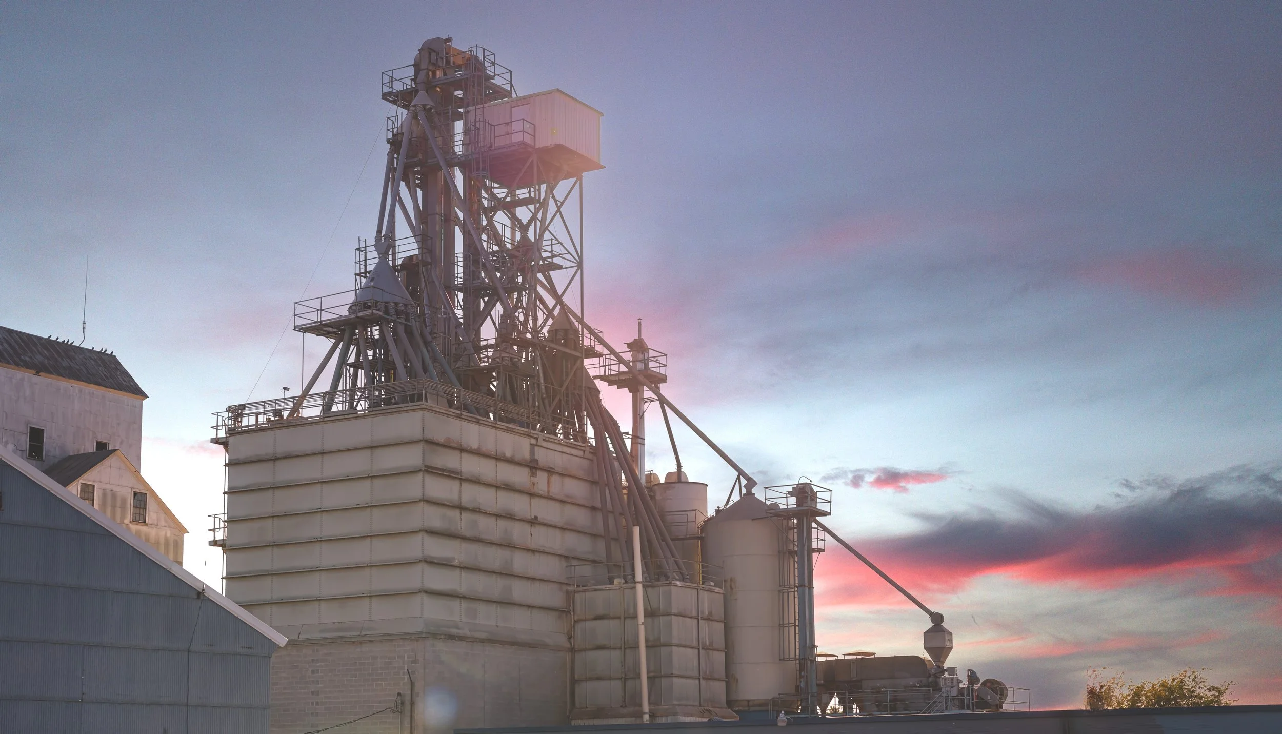 Landscaping Beautification