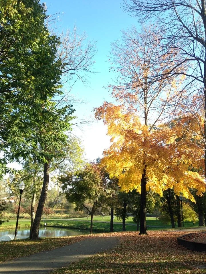 Park with trees displaying fall foliage, a small pond, and a walking path.