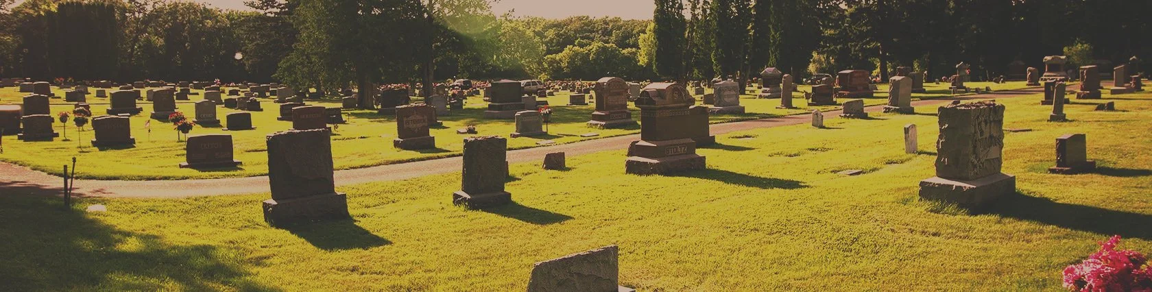A peaceful cemetery with headstones and memorial markers on a grassy field, sunlight filtering through trees in the background.