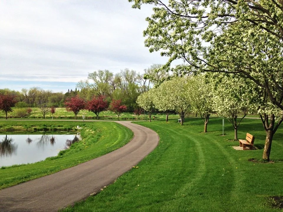A park with a winding path, a pond on the left, lush green grass, and trees with white and pink blossoms. A bench is on the right side near the trees.