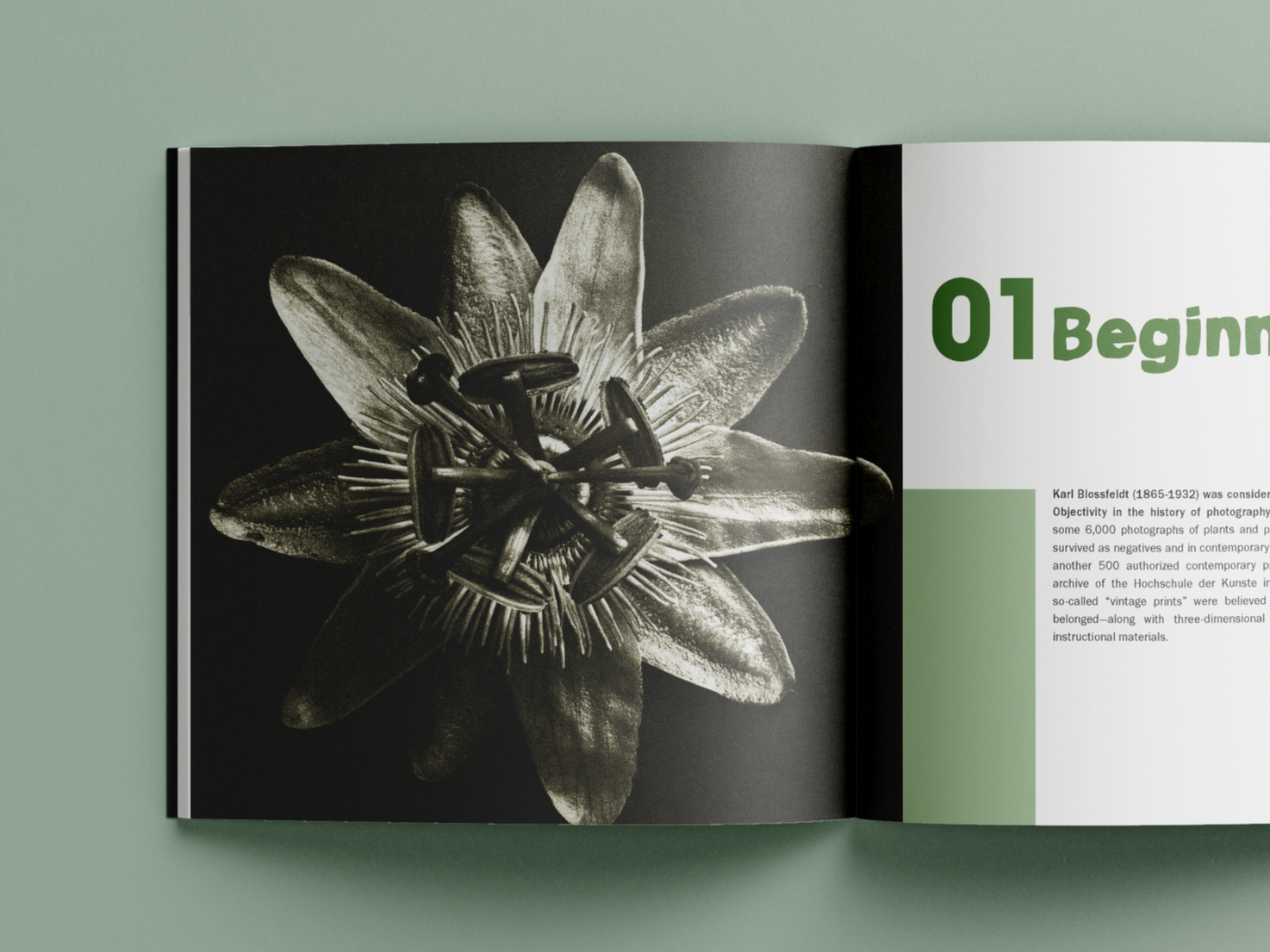CoffeeTable_Mockup_PAGE1.png