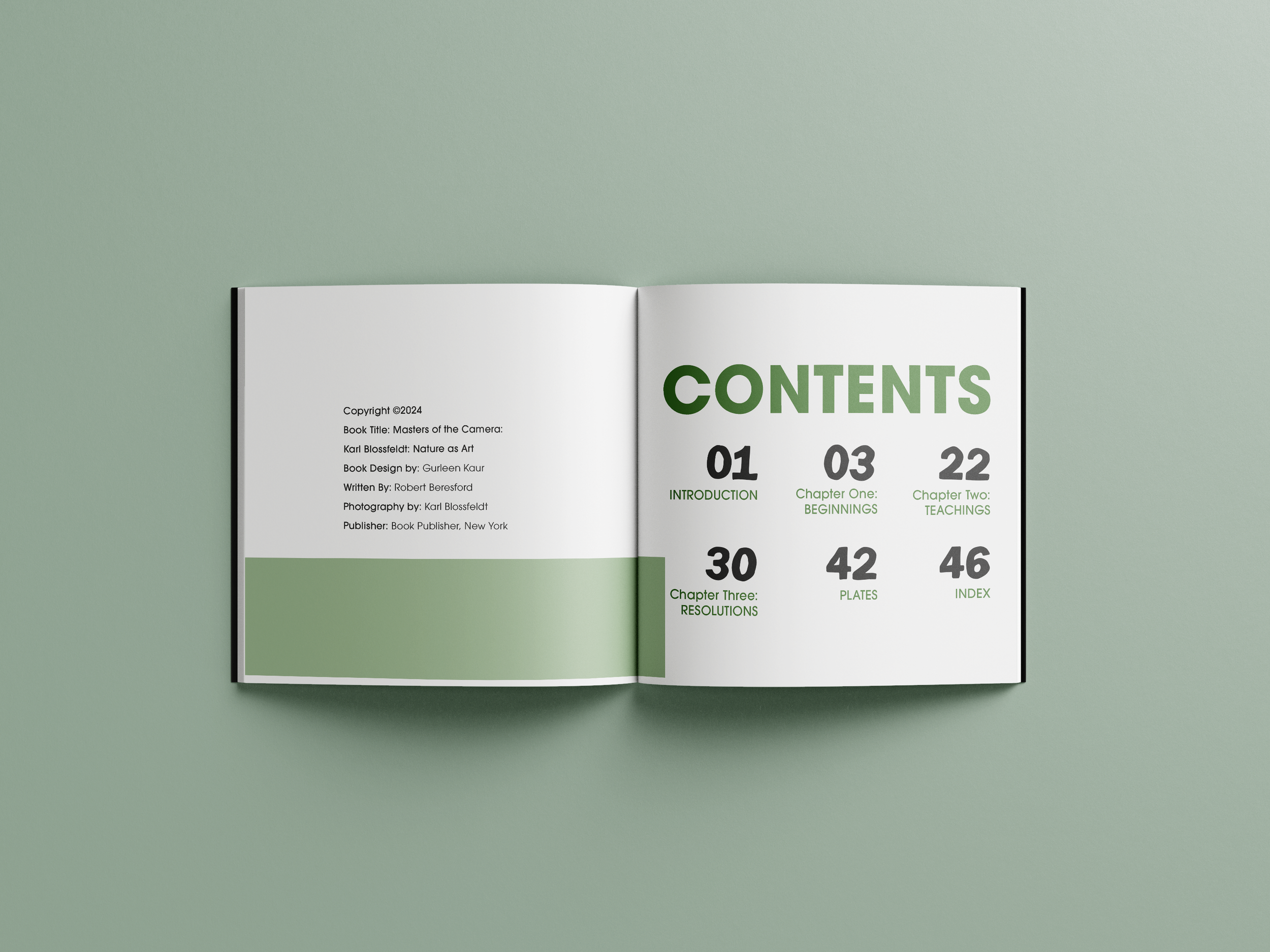 CoffeeTable_Mockup_CONTENTS.png
