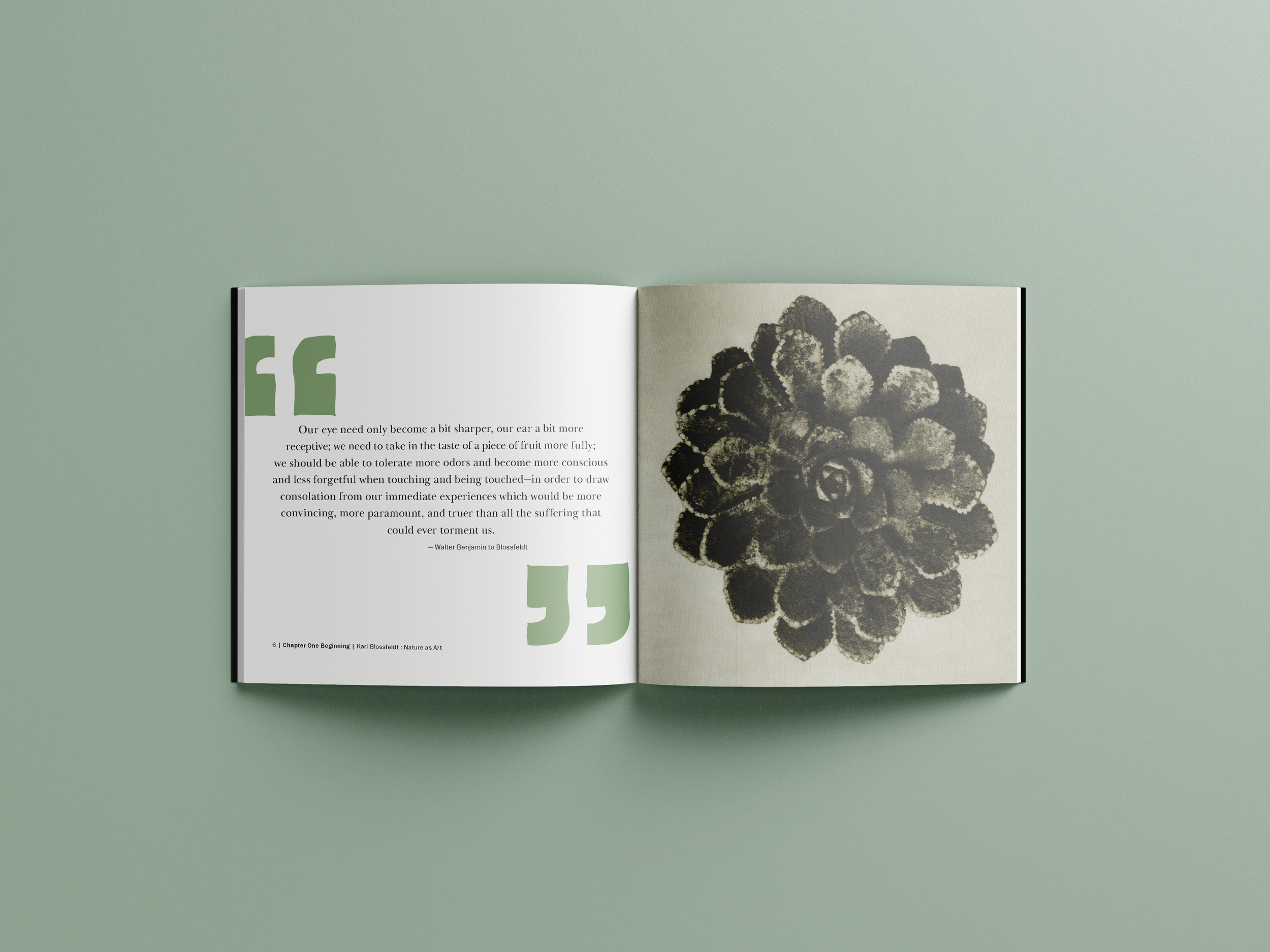CoffeeTable_Mockup_PAGE3.png