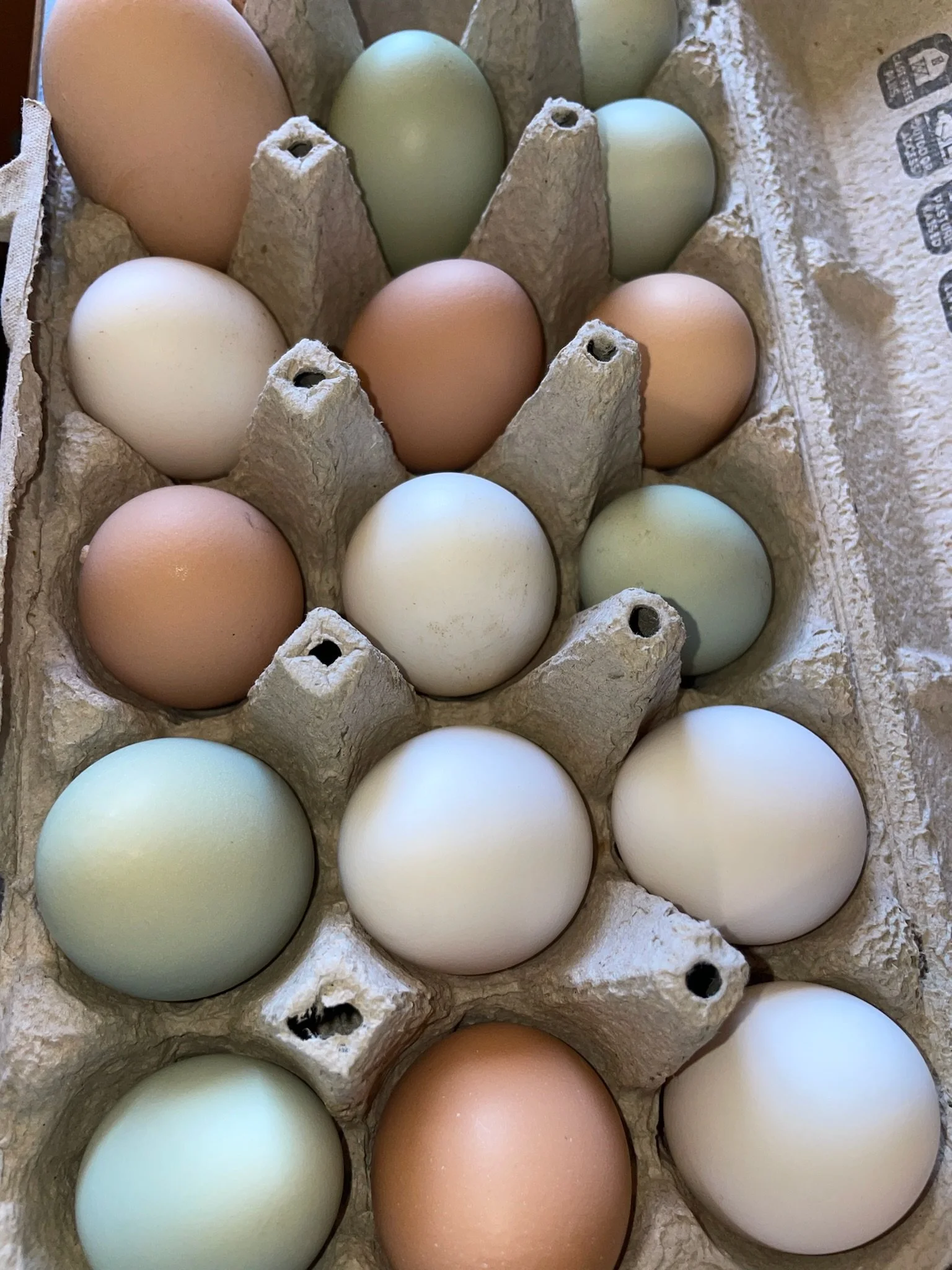 Pasture Raised Eggs