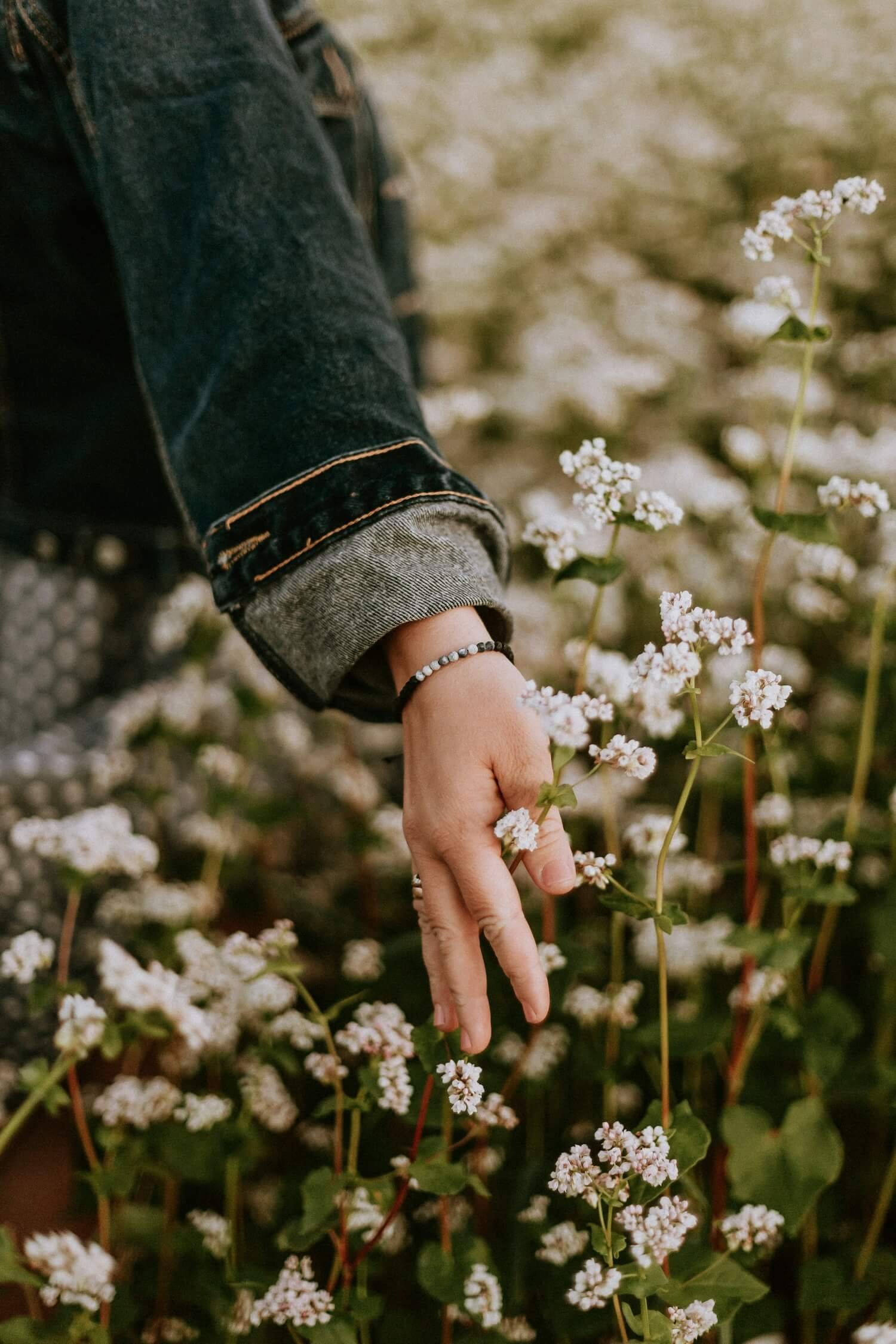 Close-up of a person’s hand gently touching wildflowers in a sunlit field, symbolising care and mindfulness.