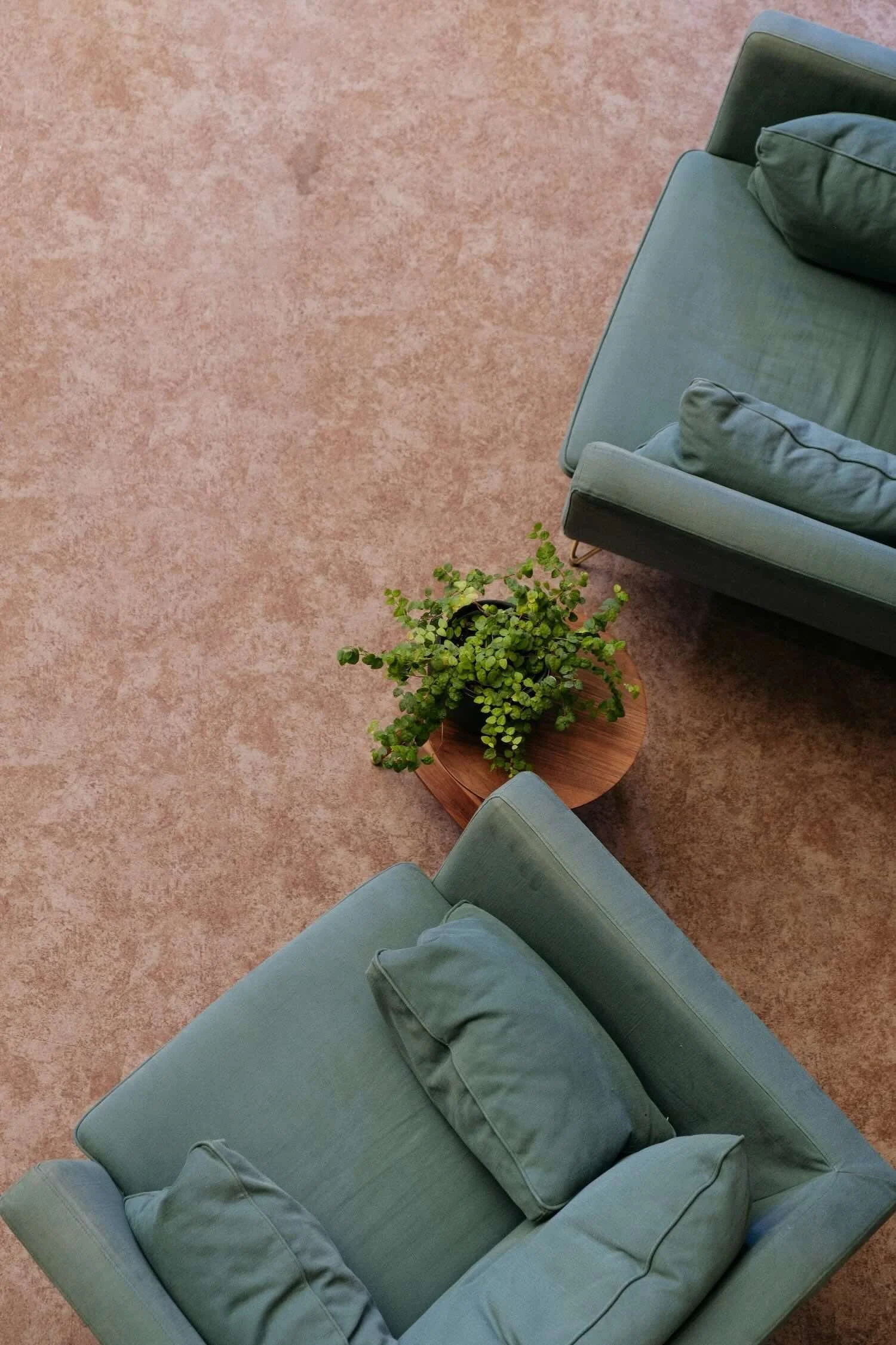 Overhead view of a soft green sofa and armchair arranged on a beige carpet with a small plant nearby in a peaceful therapy space.