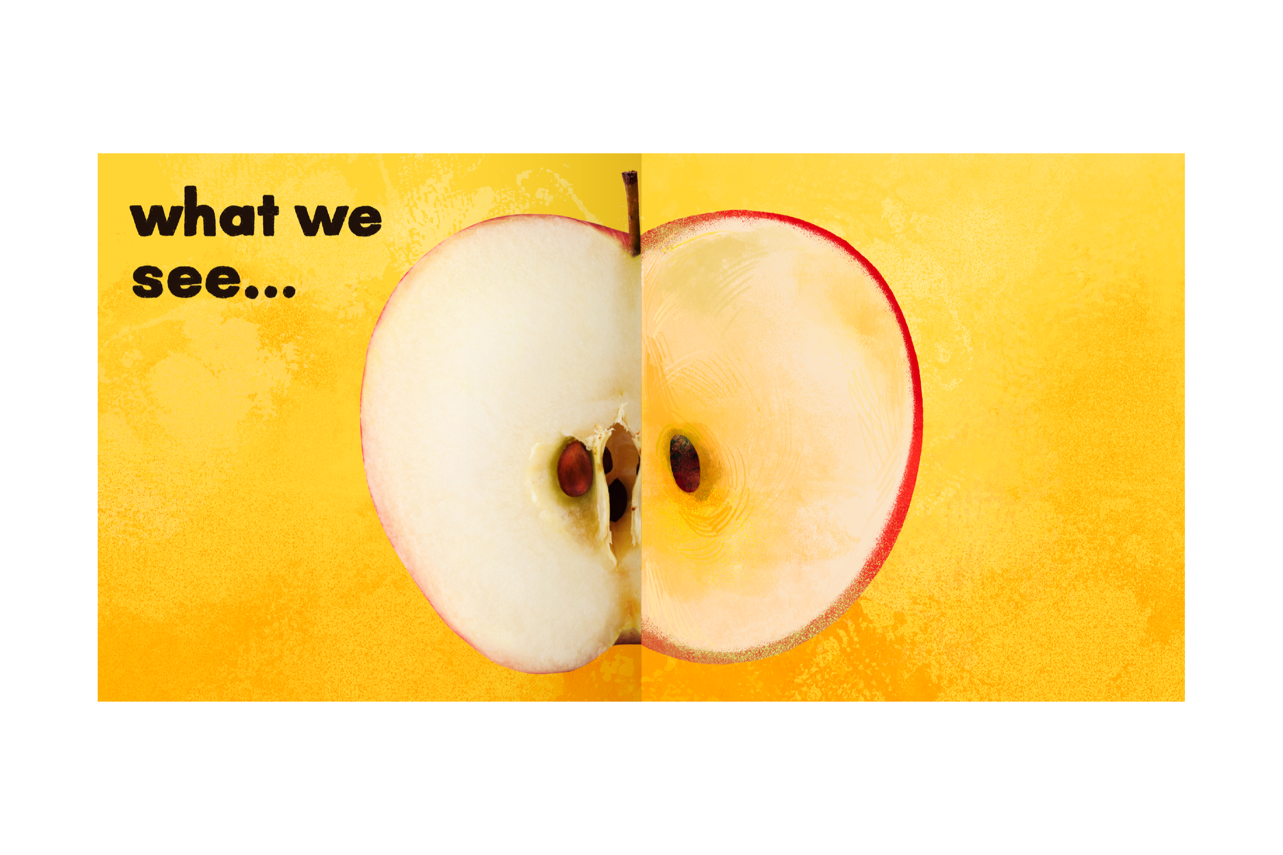 Apple+Booklet_Pages-01.png