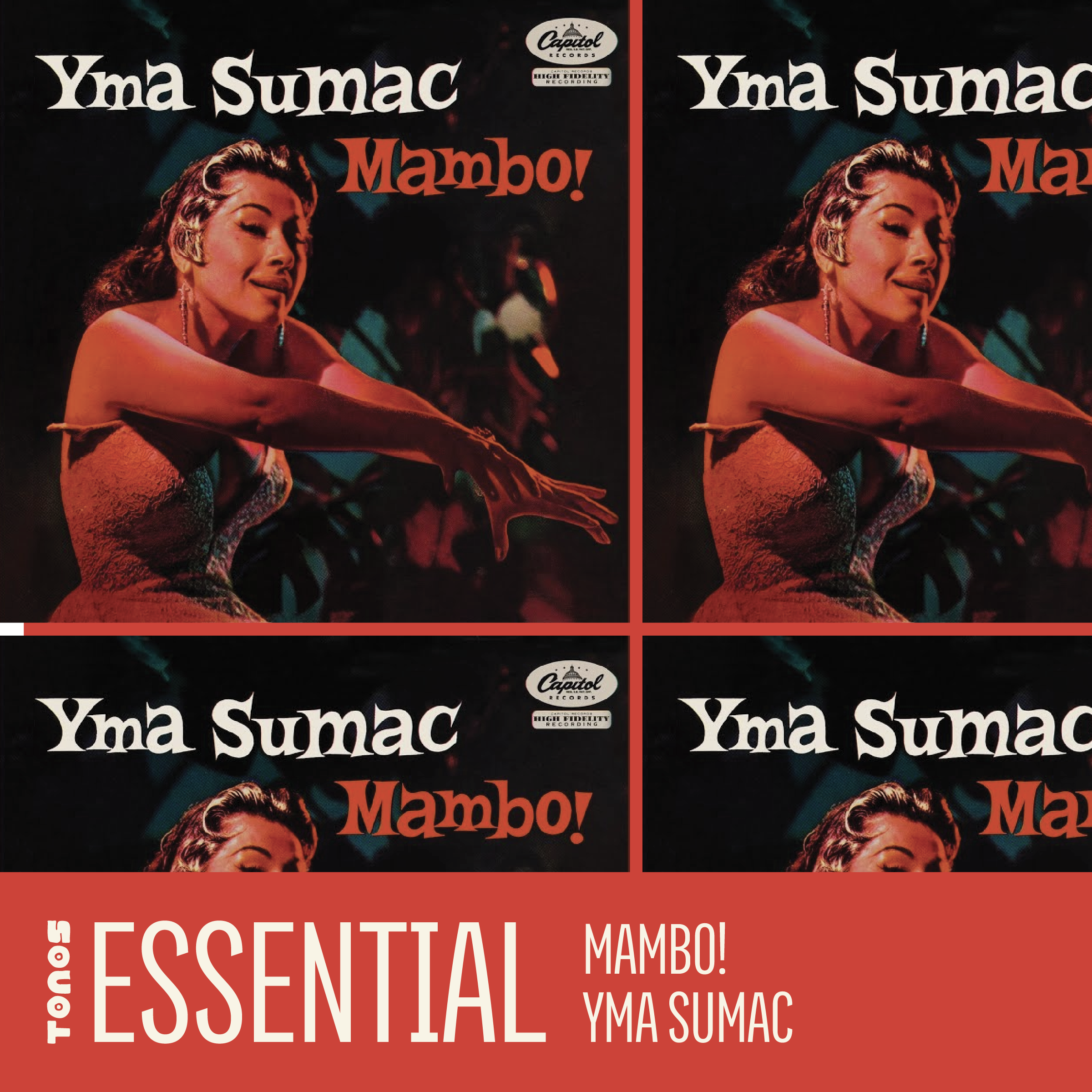 Social Media_tonos-38.png