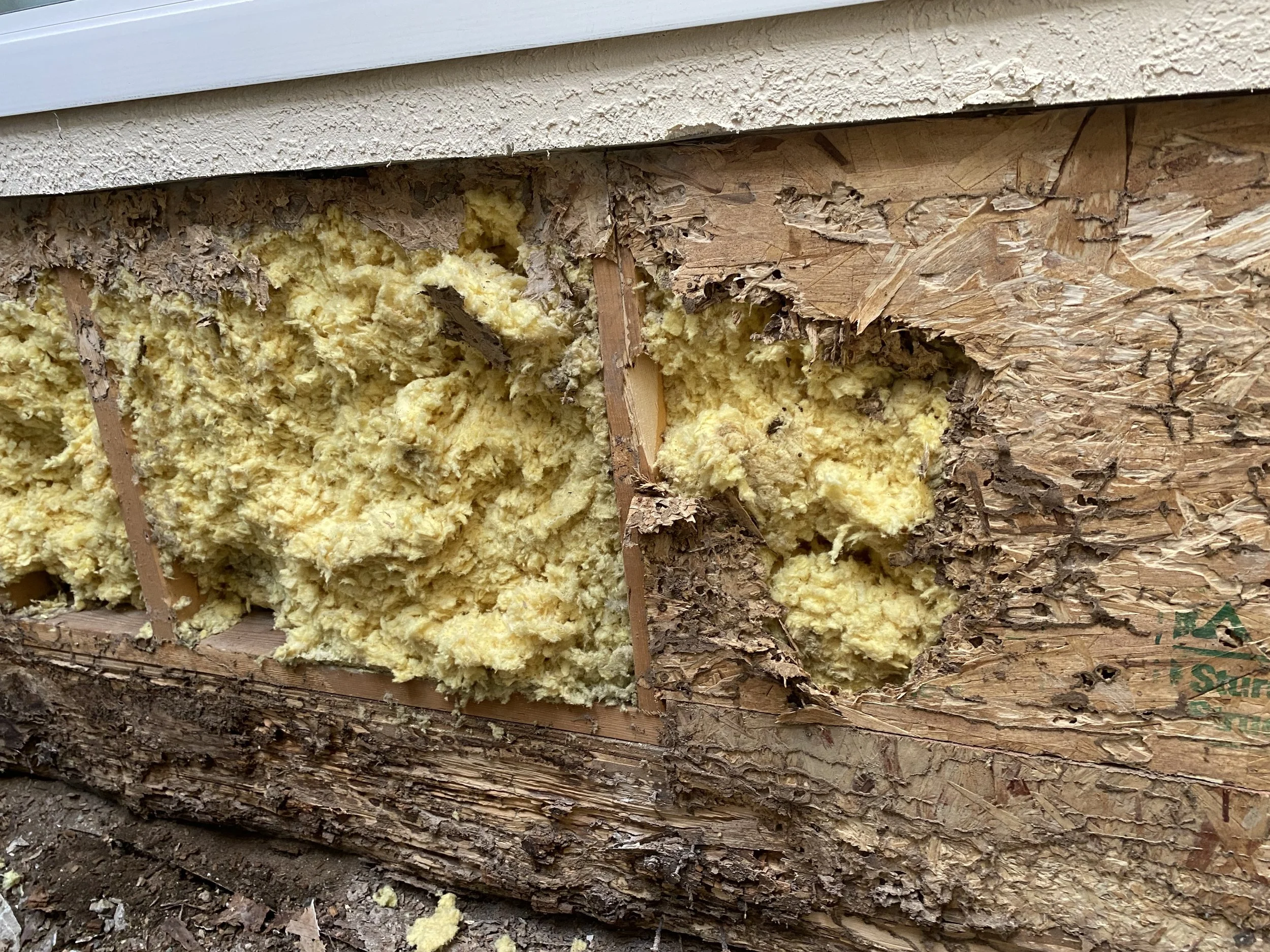 Insulation foam exposed in damaged wall with wood framing and outer siding visible.