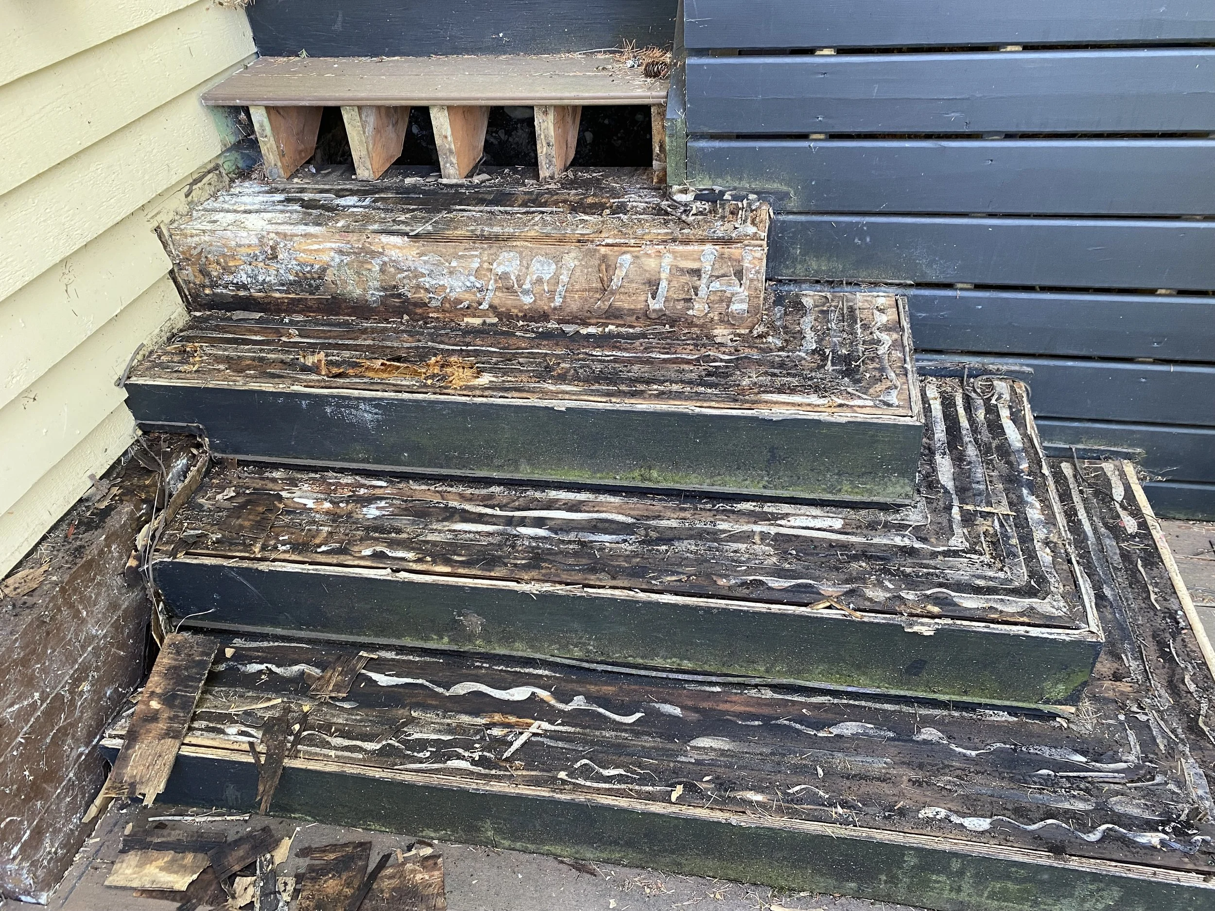Weathered wooden stairs with peeling paint and moss, adjacent to a yellow and black house exterior.