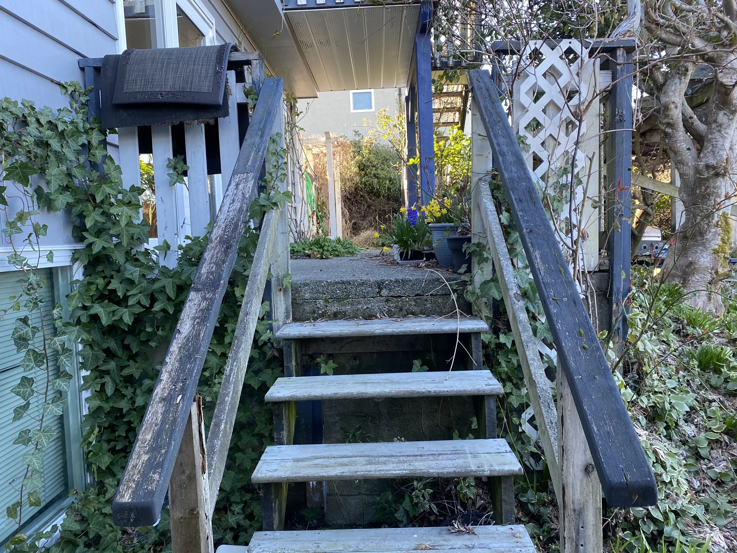 Weathered wooden stairs leading up to a porch, with ivy and plants on the sides, and a trellis on the right.