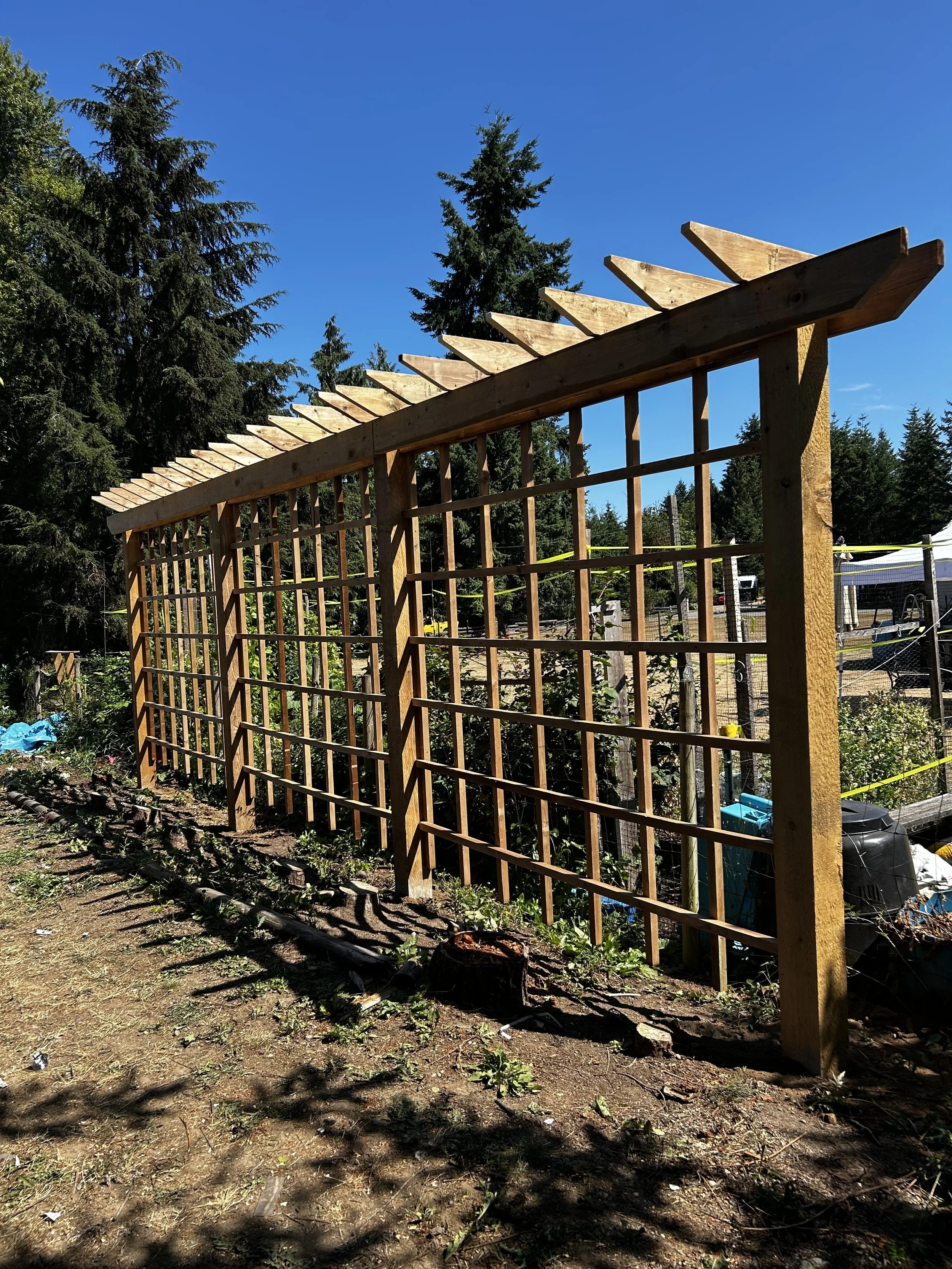 Wooden garden trellis or fence under construction with trellis panels and horizontal slats, set outdoors on soil, surrounded by trees and clear blue sky.