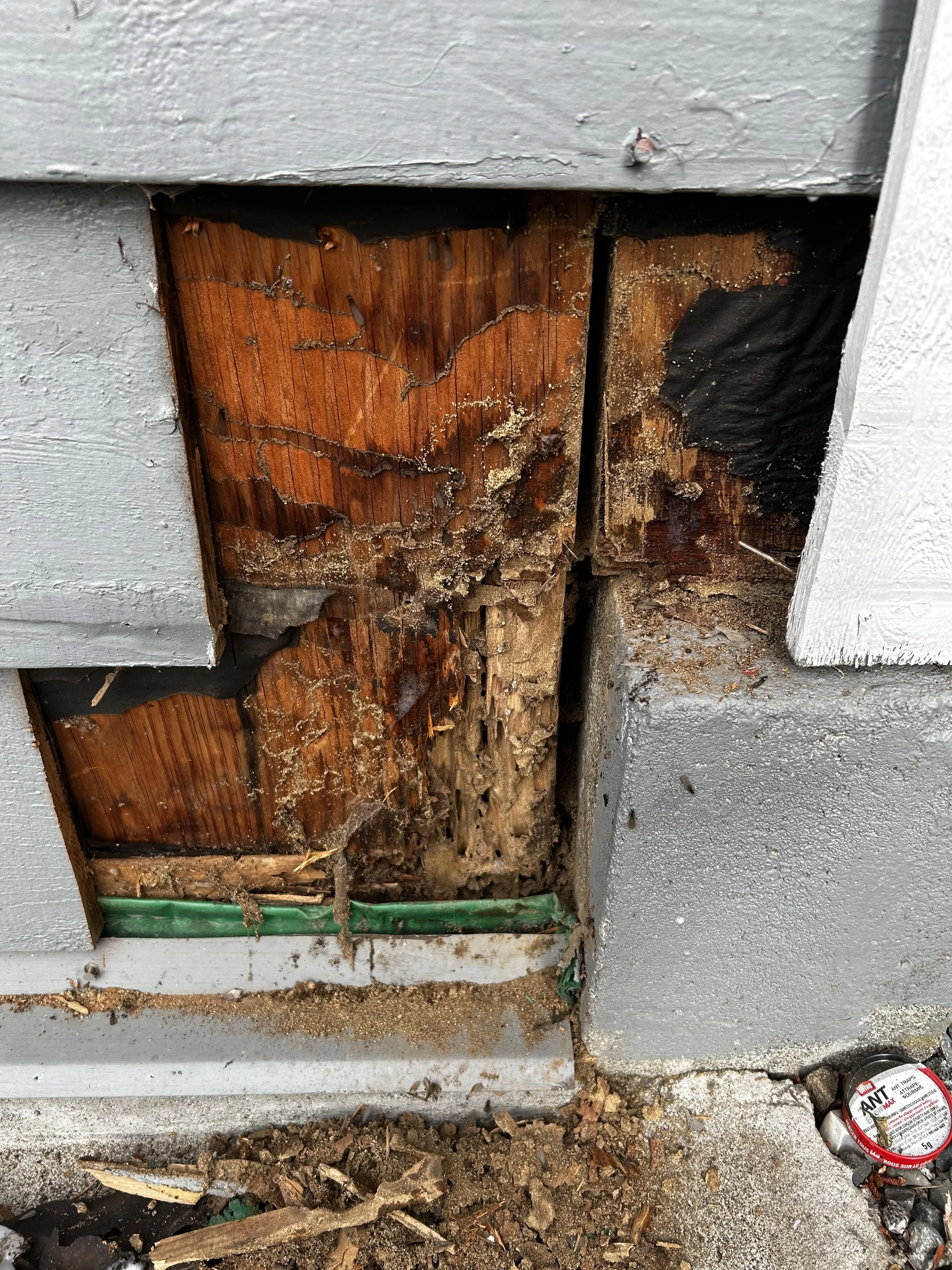 Close-up of damaged wooden siding with rot and decay, revealing the underlying material, next to a partially painted gray wall and debris on the ground.