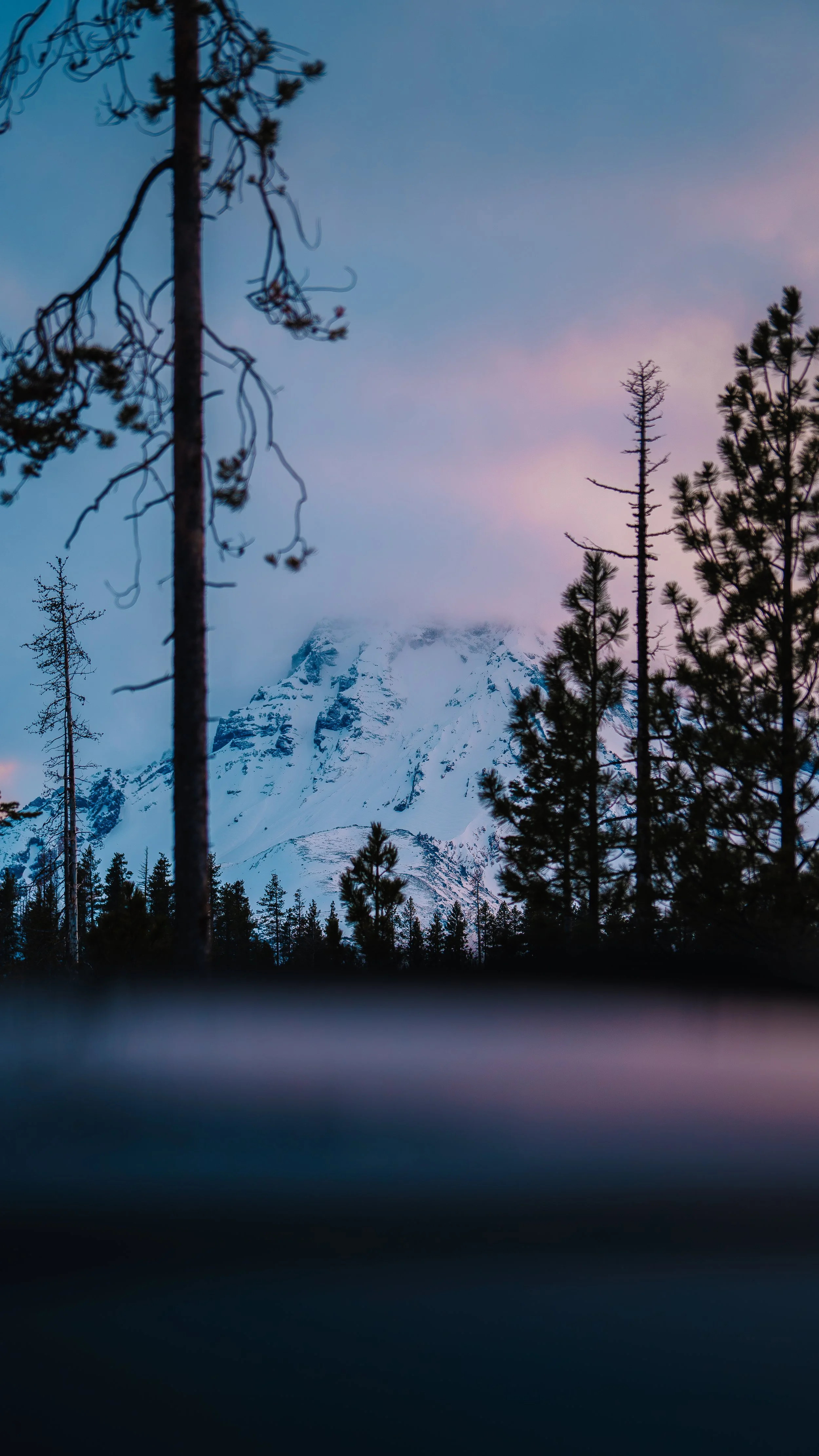 _A739102-Enhanced-NR.JPG