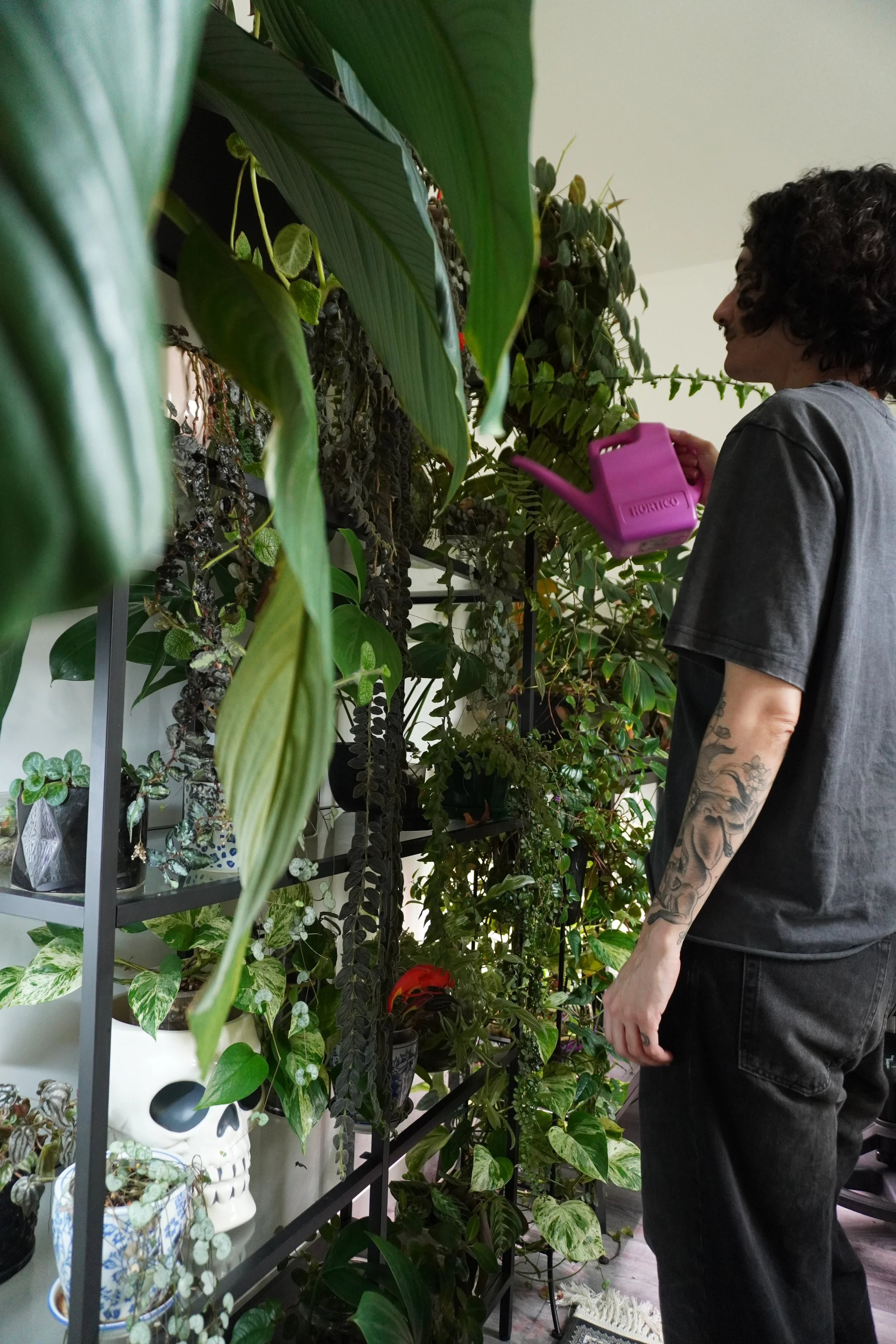 A person with curly dark hair and tattoos on their arms is standing near a shelf filled with various green potted plants, holding a pink watering can, indoors.
