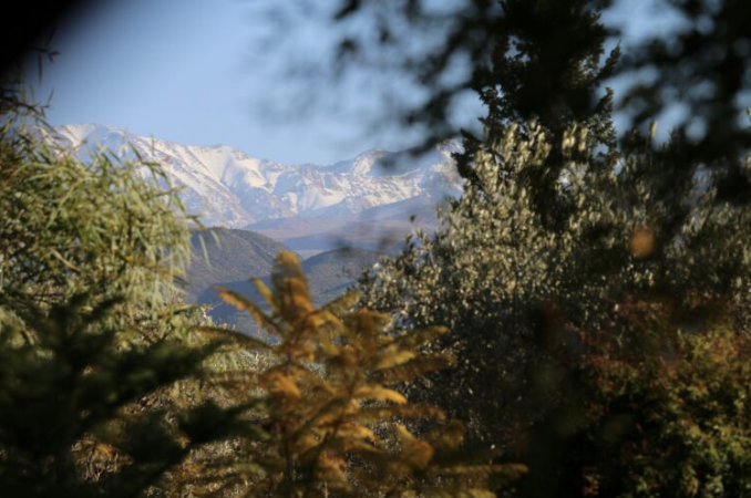 Screenshot 2026-04-02 at 08.05.20.png