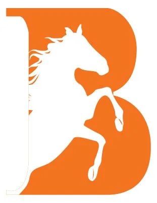 Balkar Heavy trucks Transport LLC