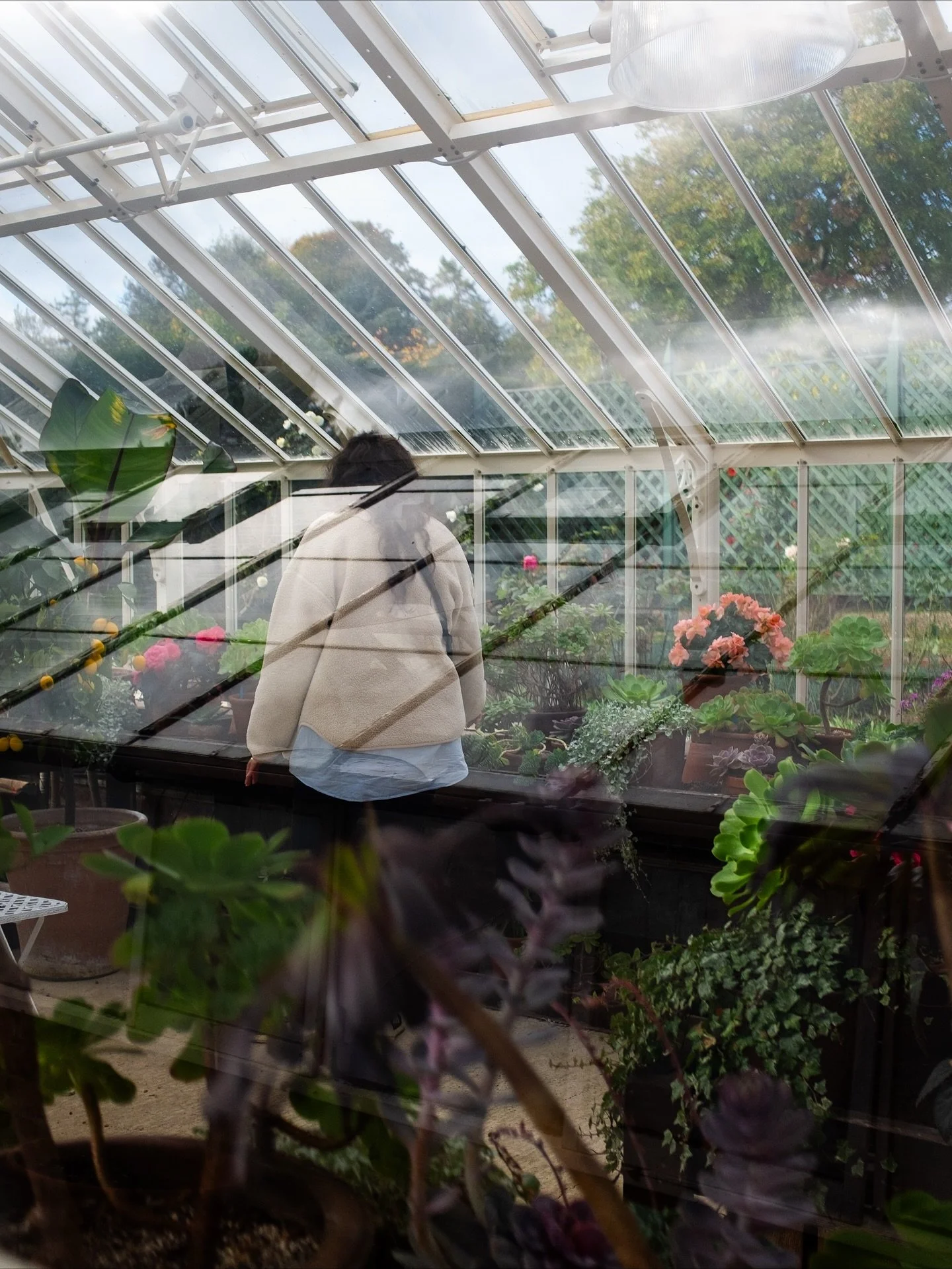 Giving a few of the last few month&rsquo;s photos proper time on the grid (as apparently that&rsquo;s what you have to do&hellip;!?) #instagramgodswhatisthismadness #iphone17pro #smallbrand #femalebusiness #fujifilm #fujifilmx100t #greyscourt #paris 